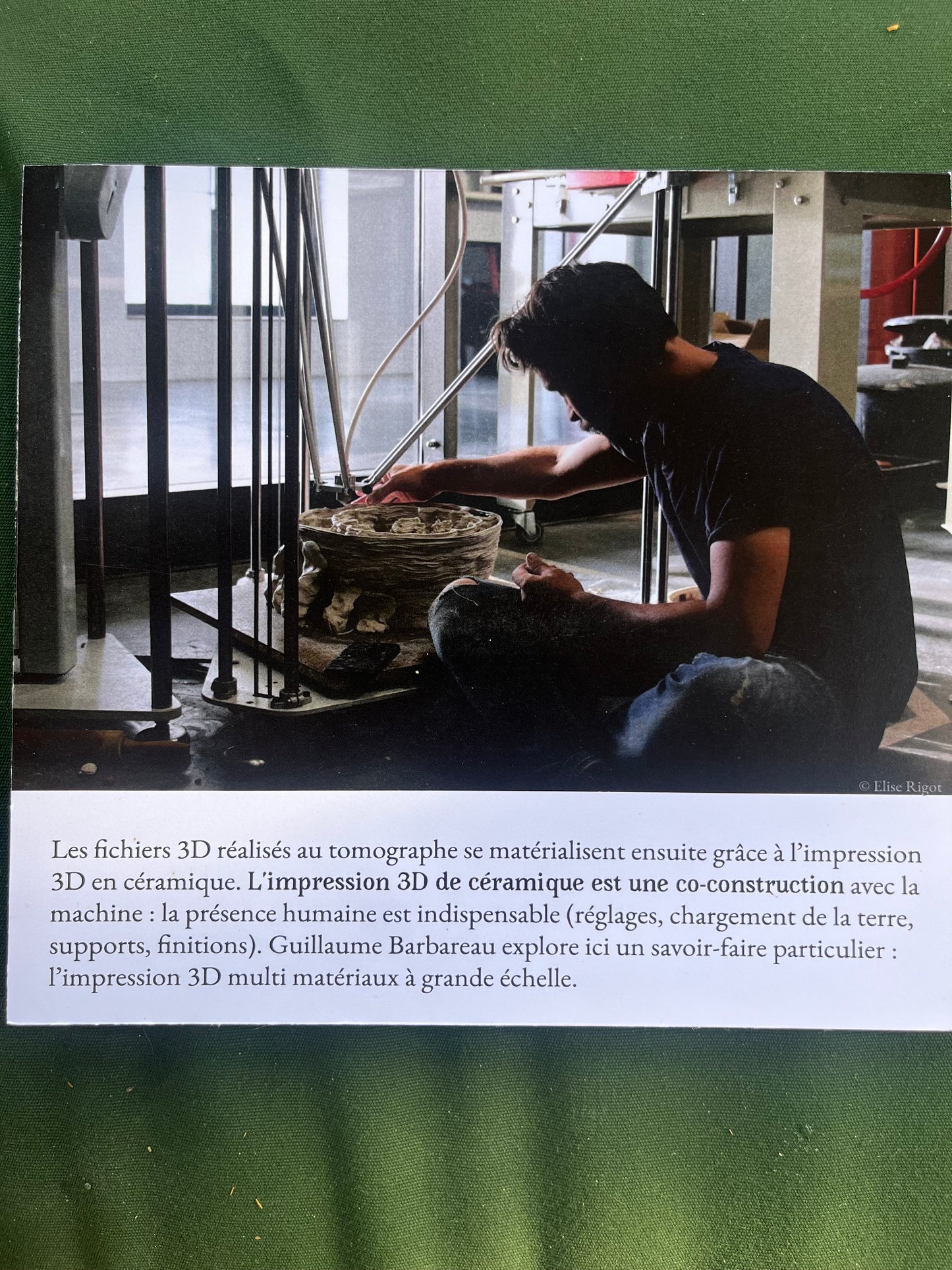 Archive vivante - Elise Rigot