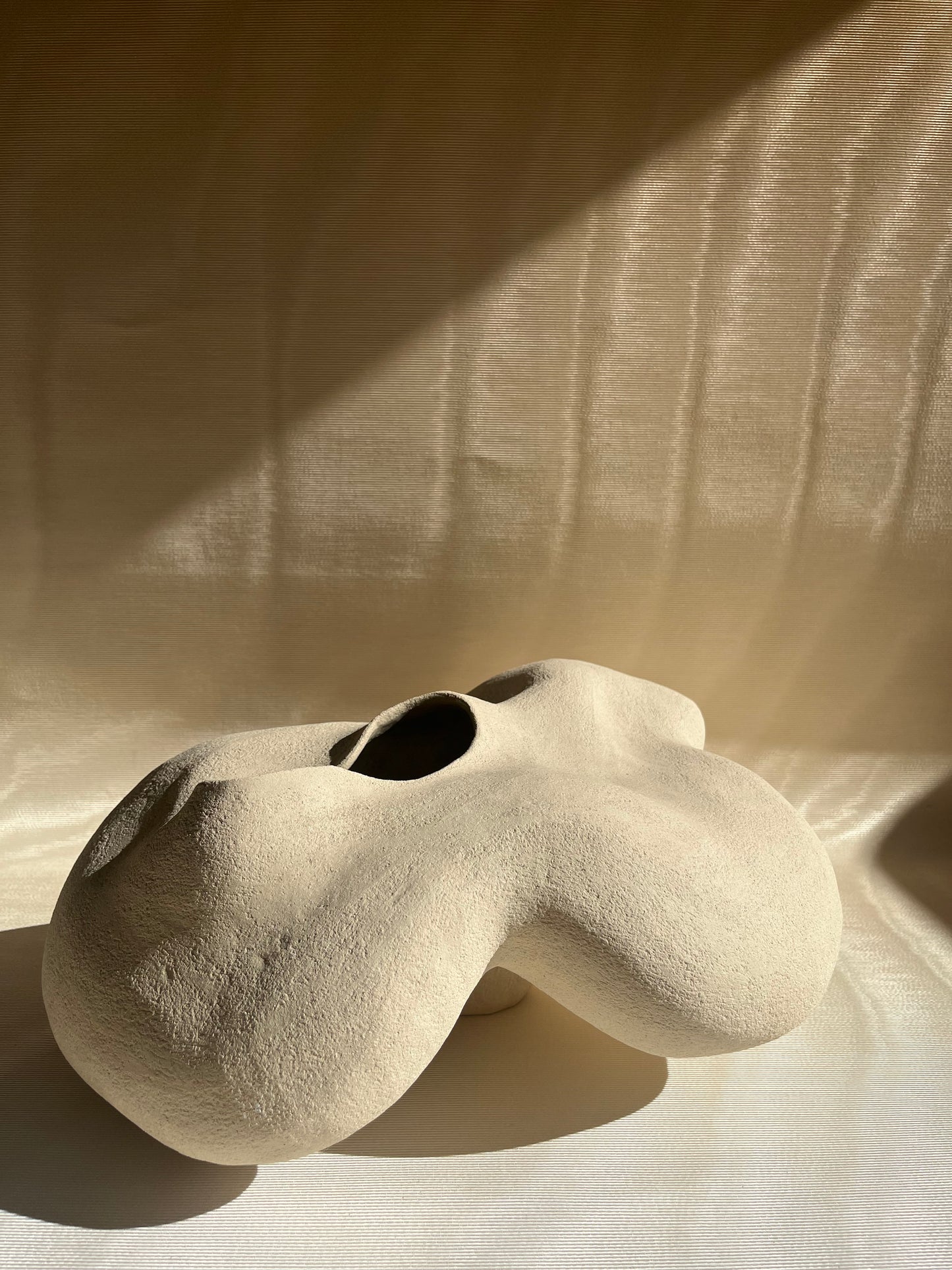Vase Porite, Cora