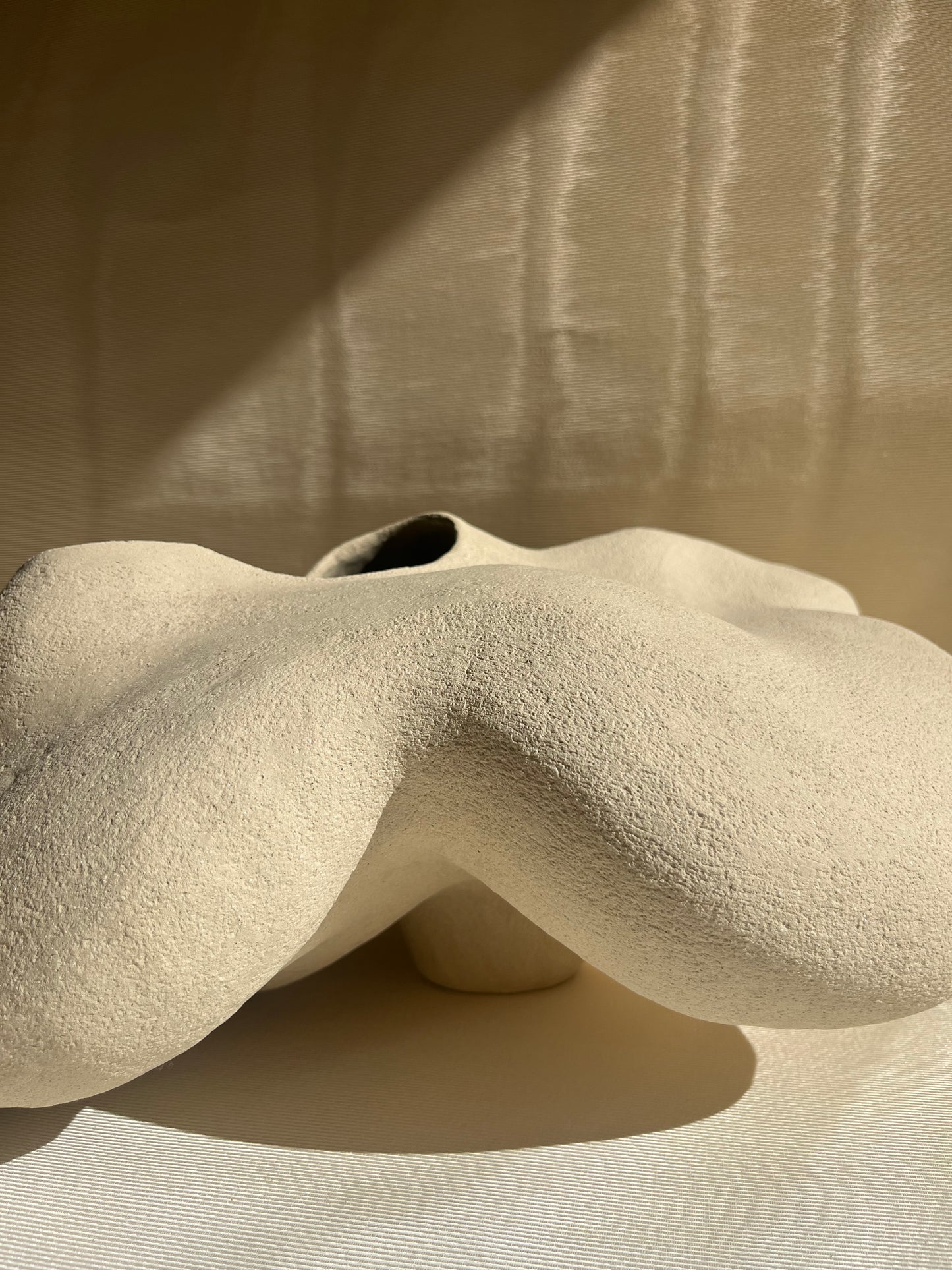 Vase Porite, Cora