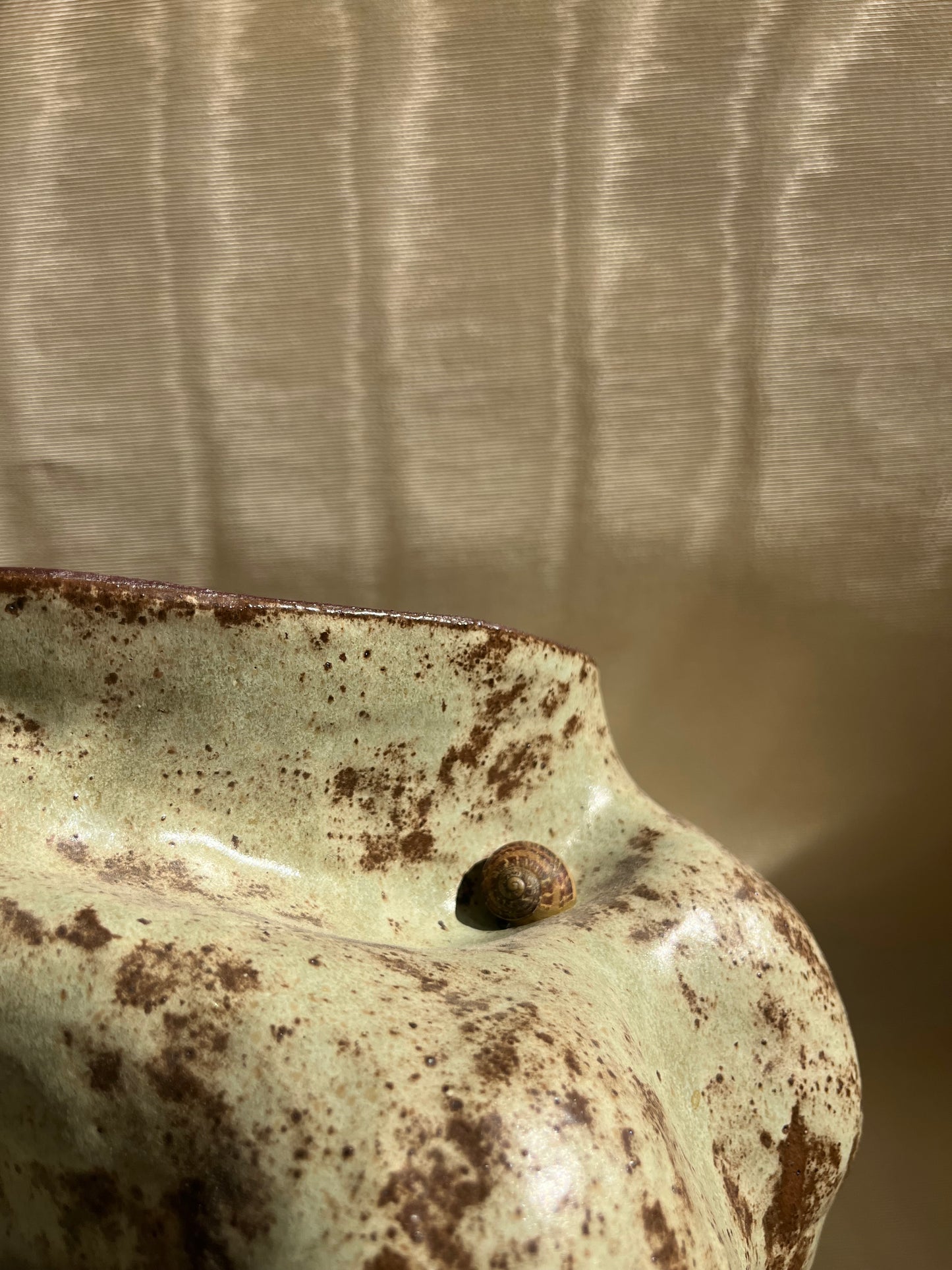 Vase Ormuz, Cora