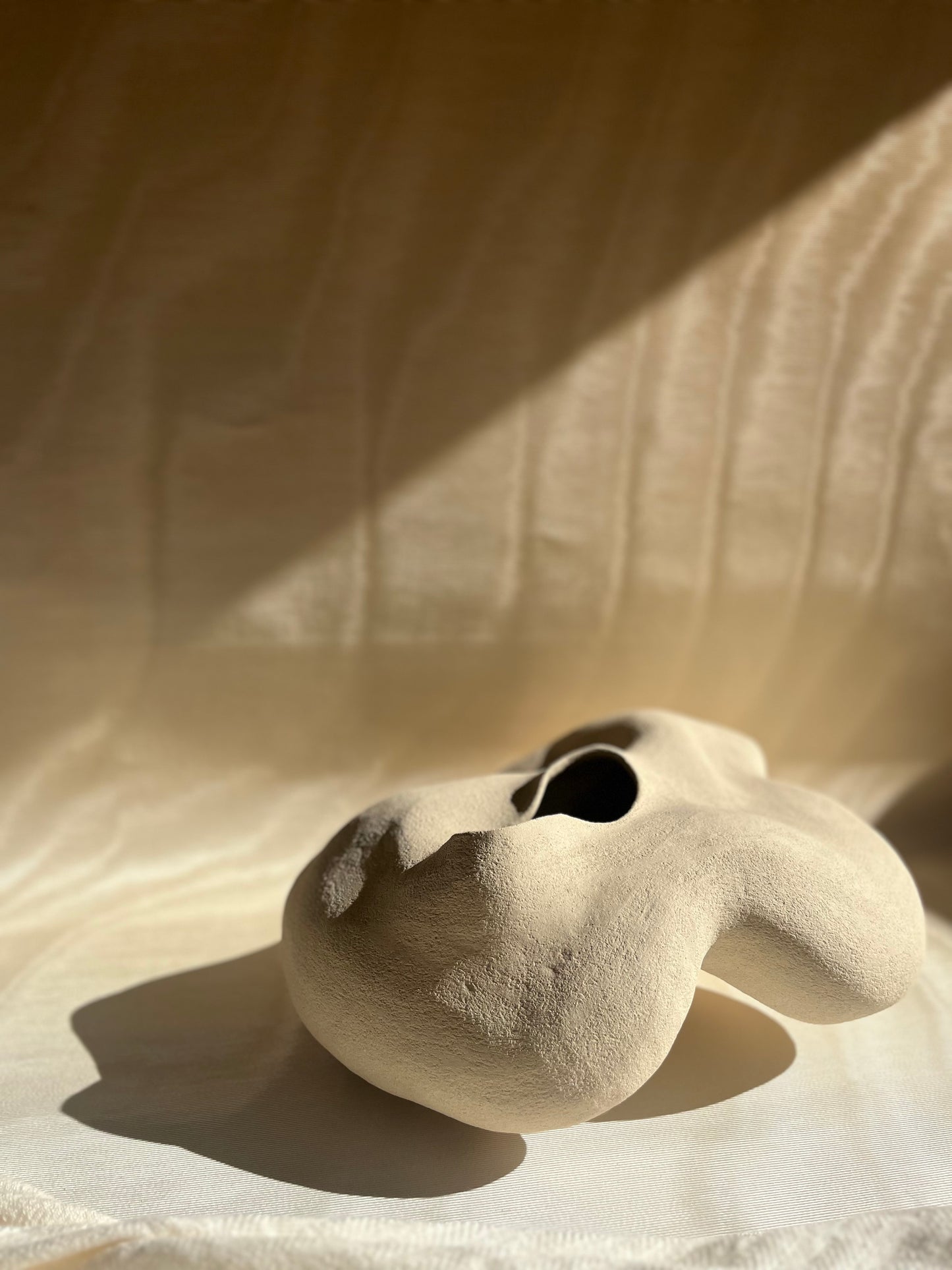 Vase Porite, Cora