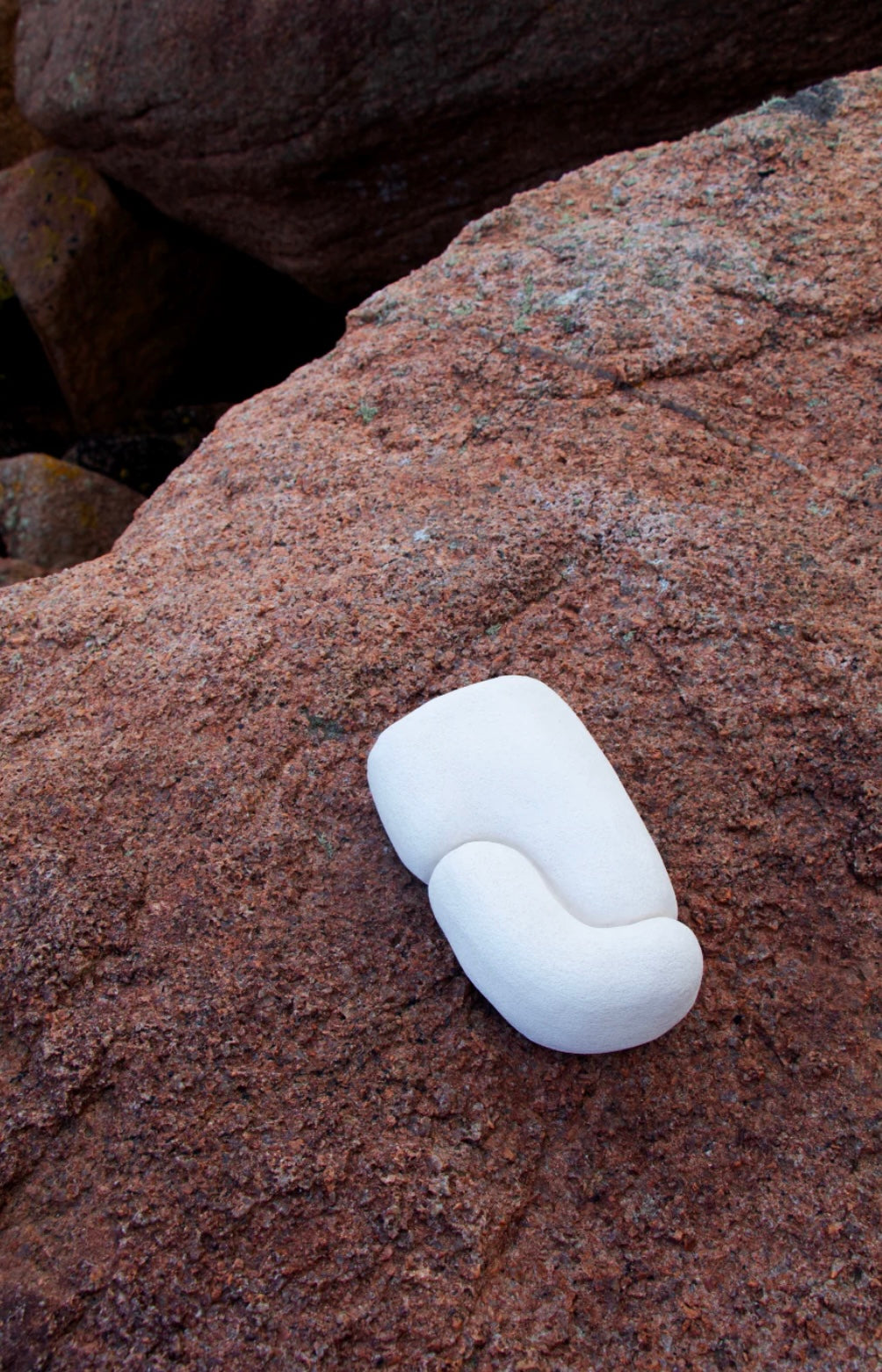 Alice Lahana - Applique - Bird