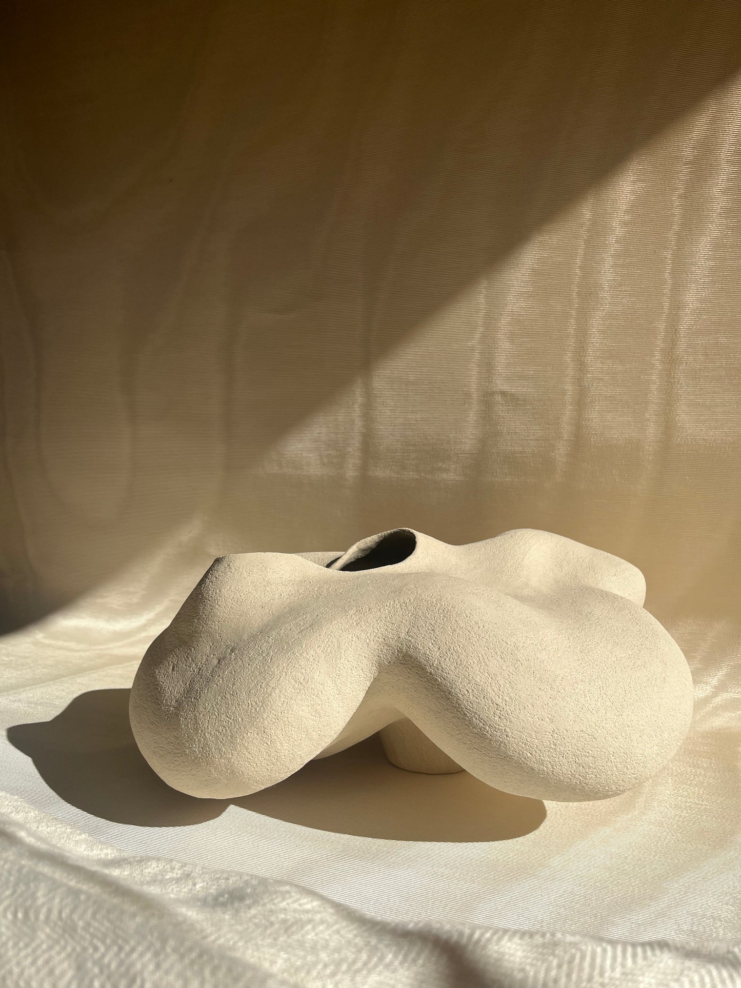 Vase Porite, Cora