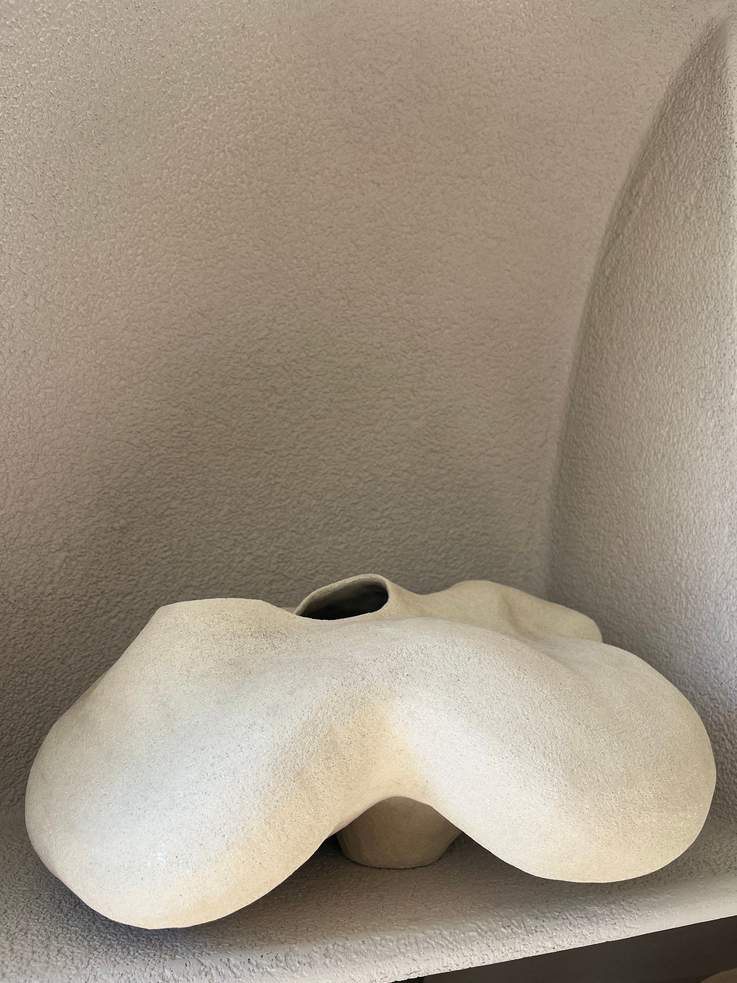 Vase Porite, Cora