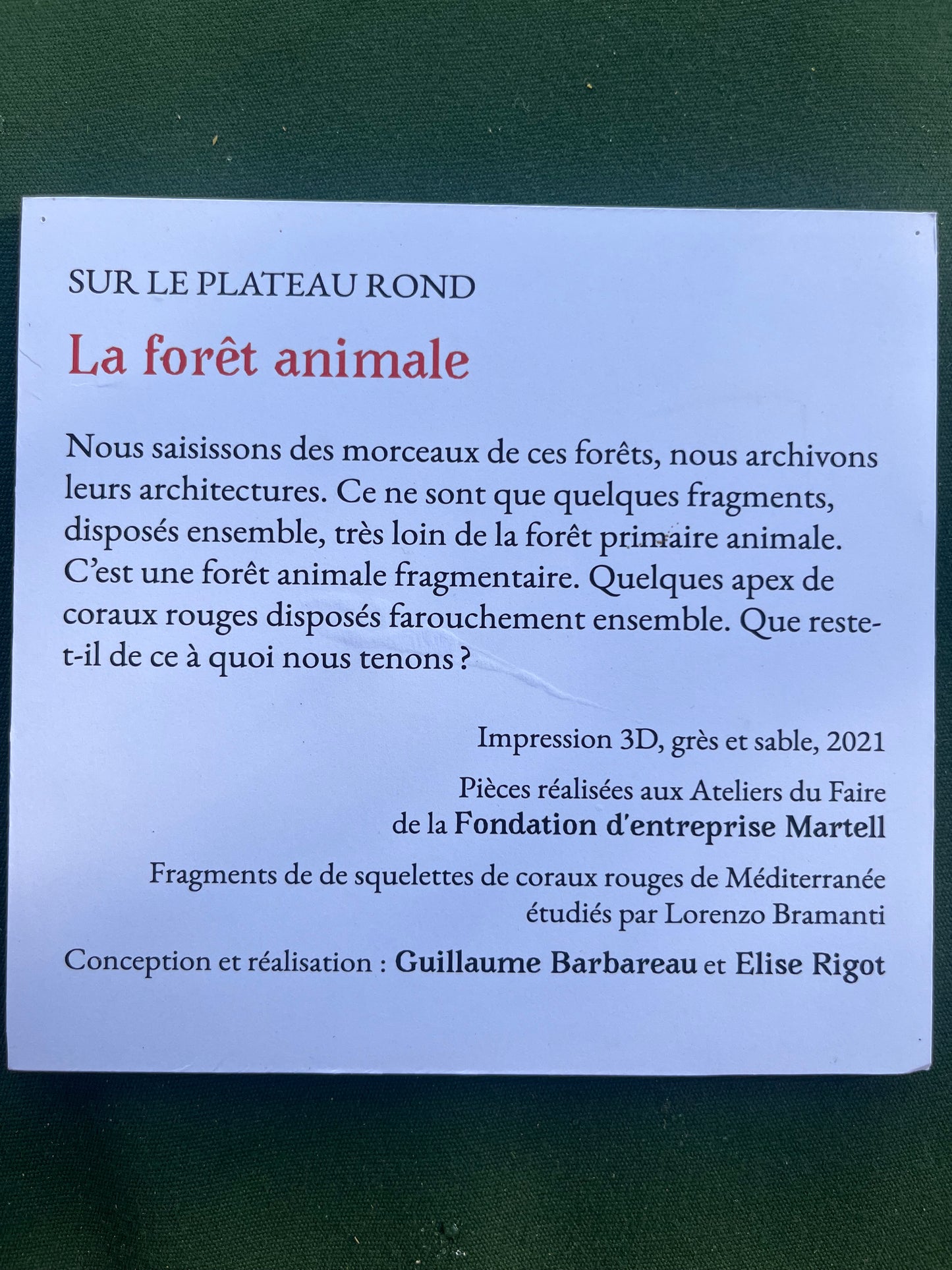 Archive vivante - Elise Rigot