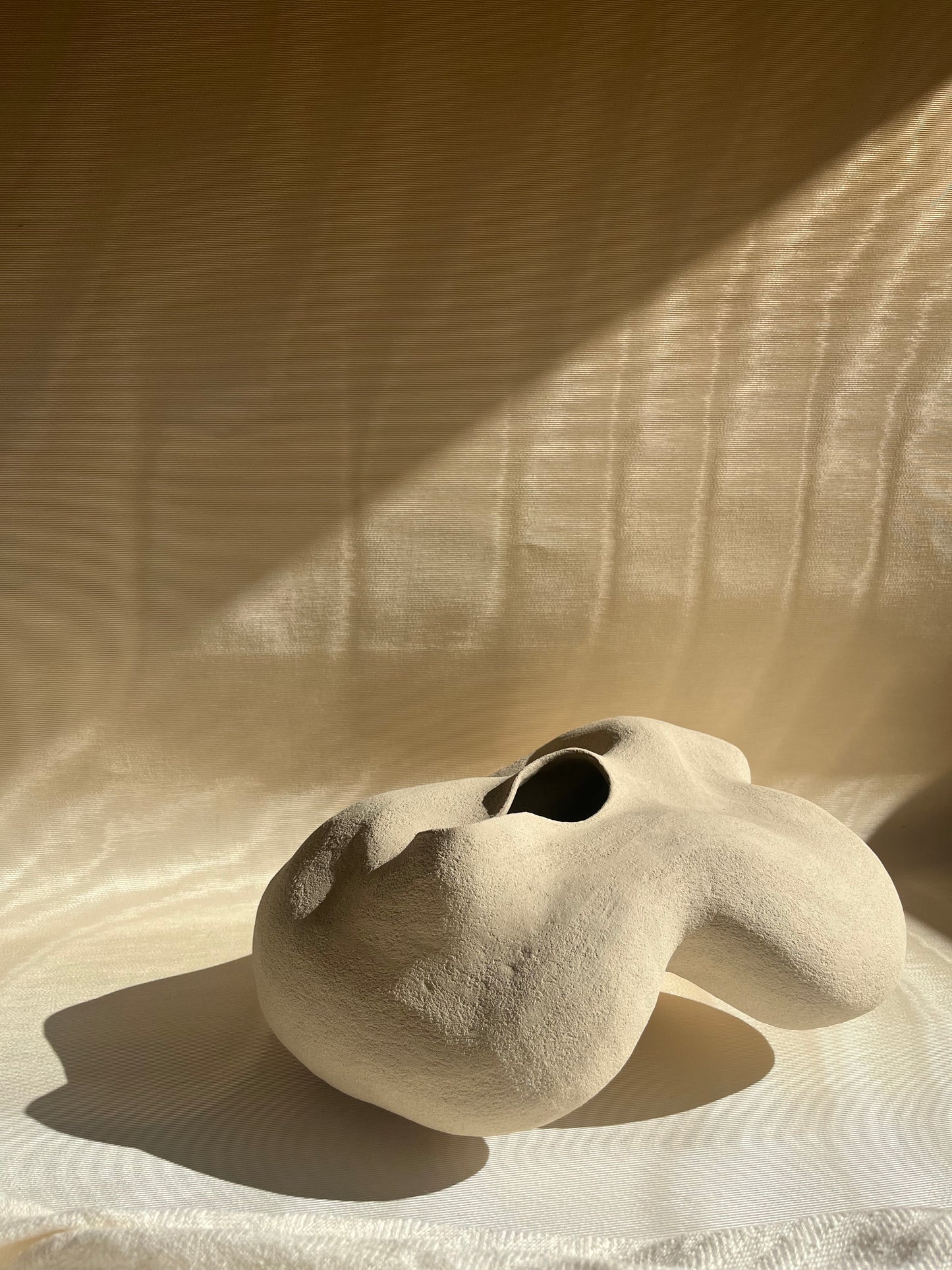 Vase Porite, Cora