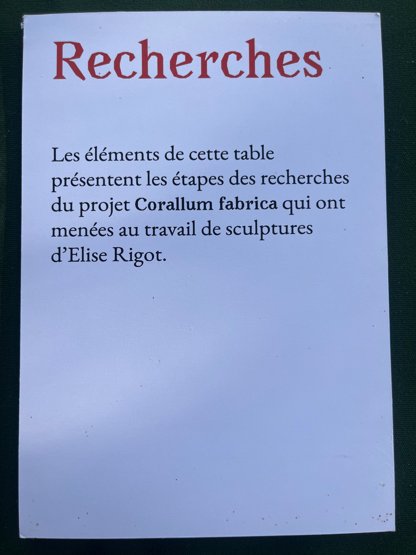 Archive vivante - Elise Rigot