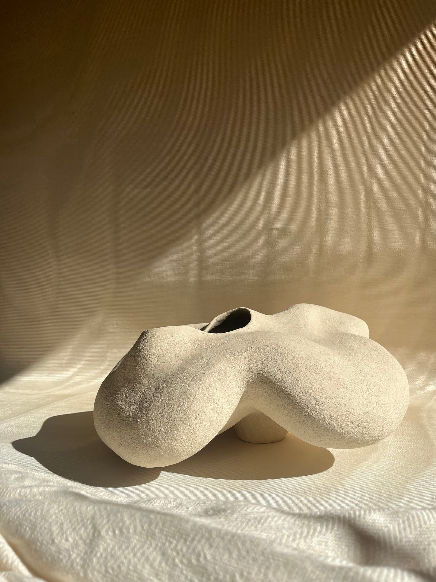 Vase Porite, Cora