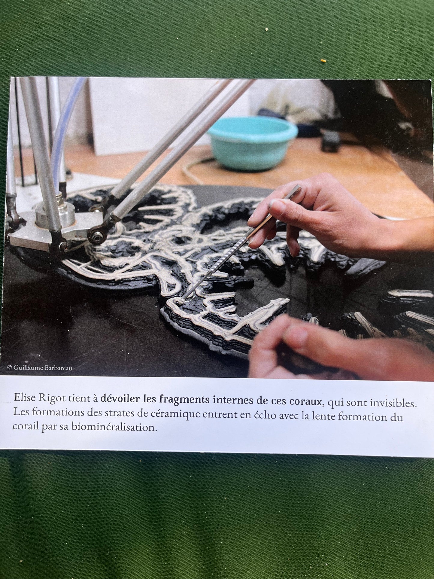 Archive vivante - Elise Rigot