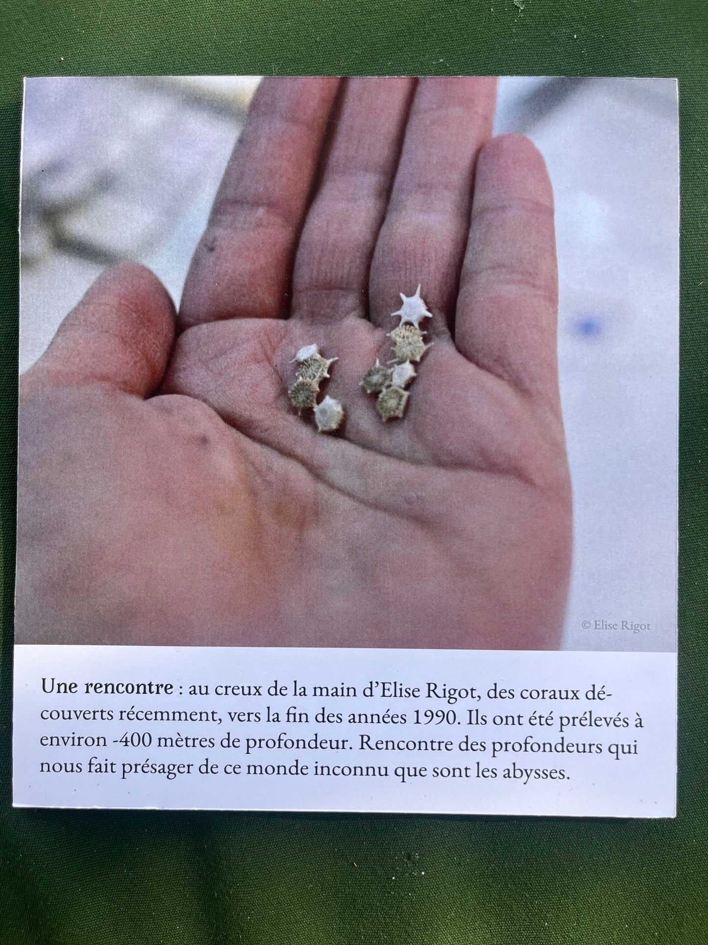 Archive vivante - Elise Rigot