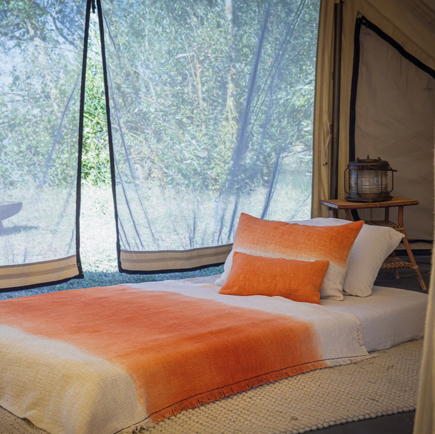 Plaid Tandem Bed and Philosophy