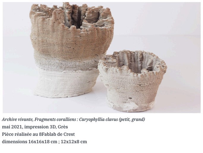 Archive vivante - Elise Rigot
