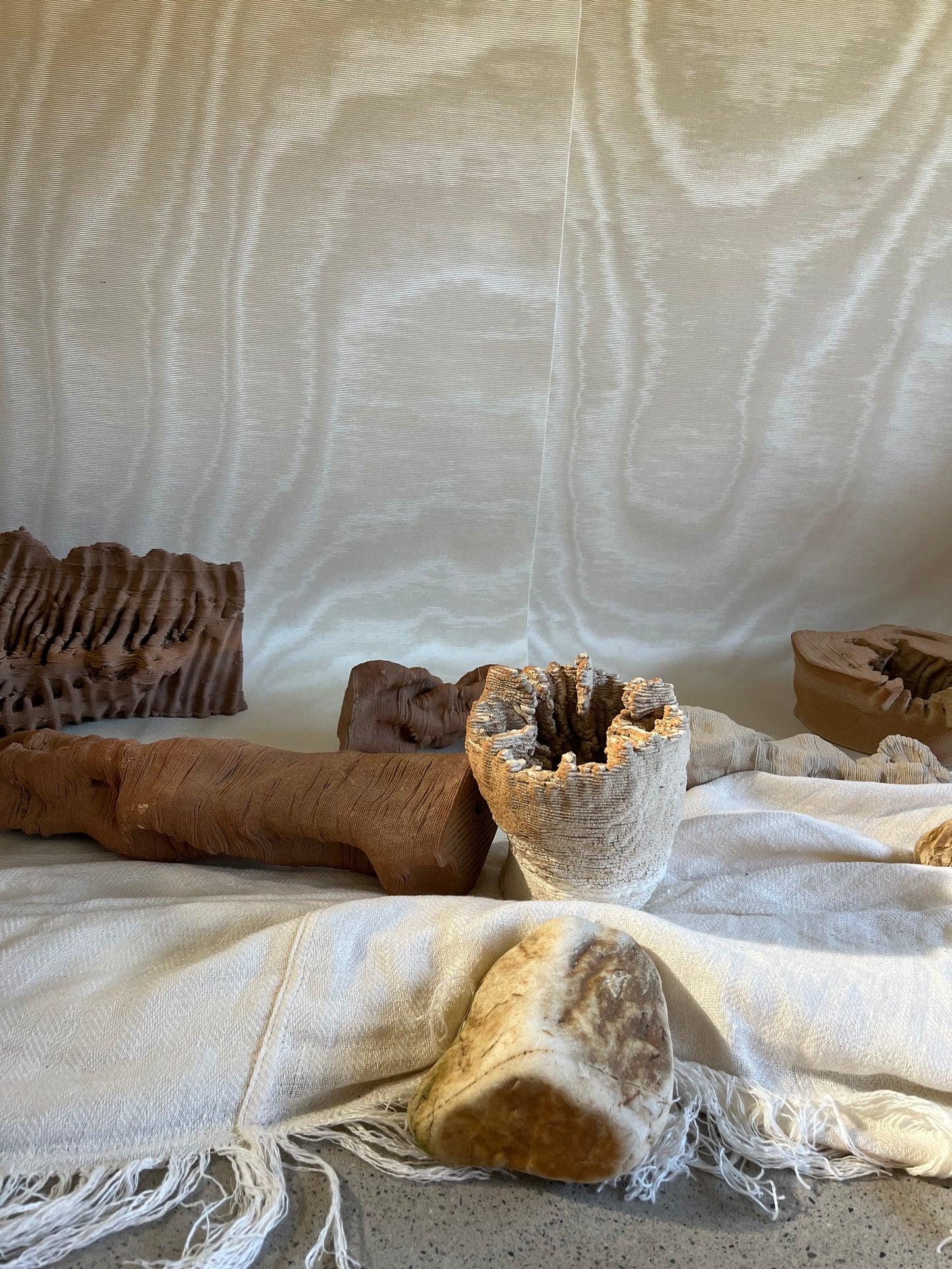 Archive vivante - Elise Rigot