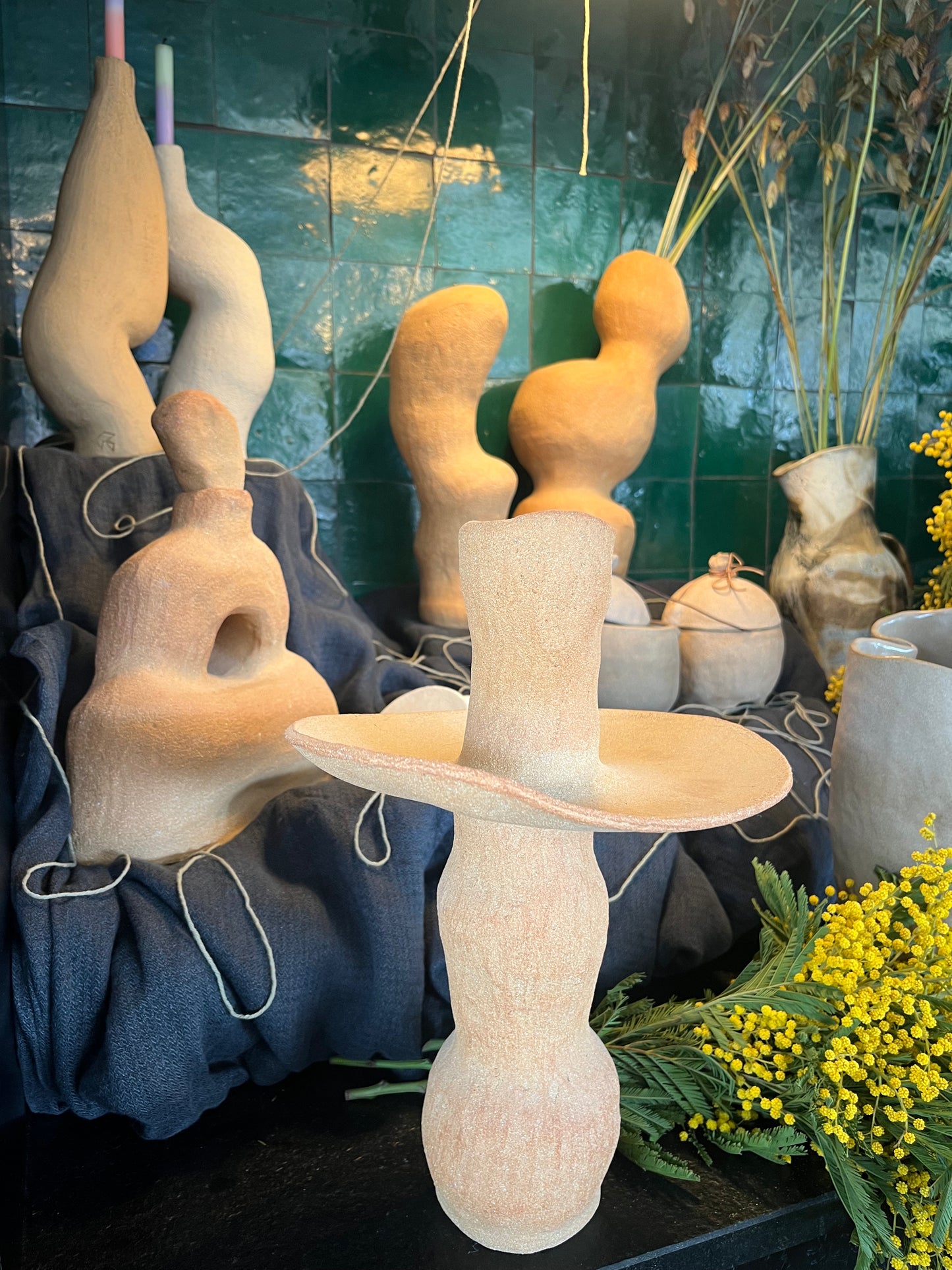 Les formes du vivant n·V, MR Céramique