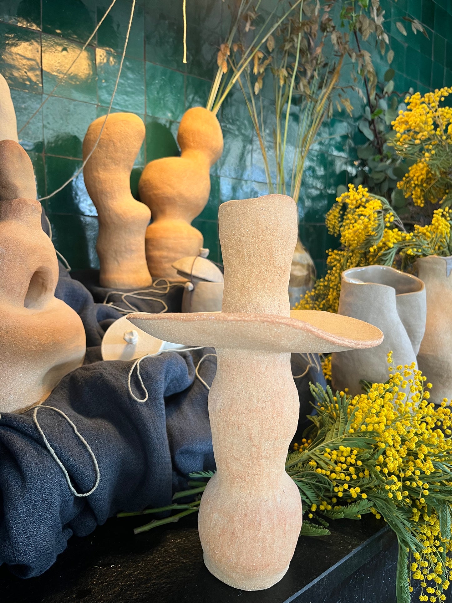 Les formes du vivant n·V, MR Céramique