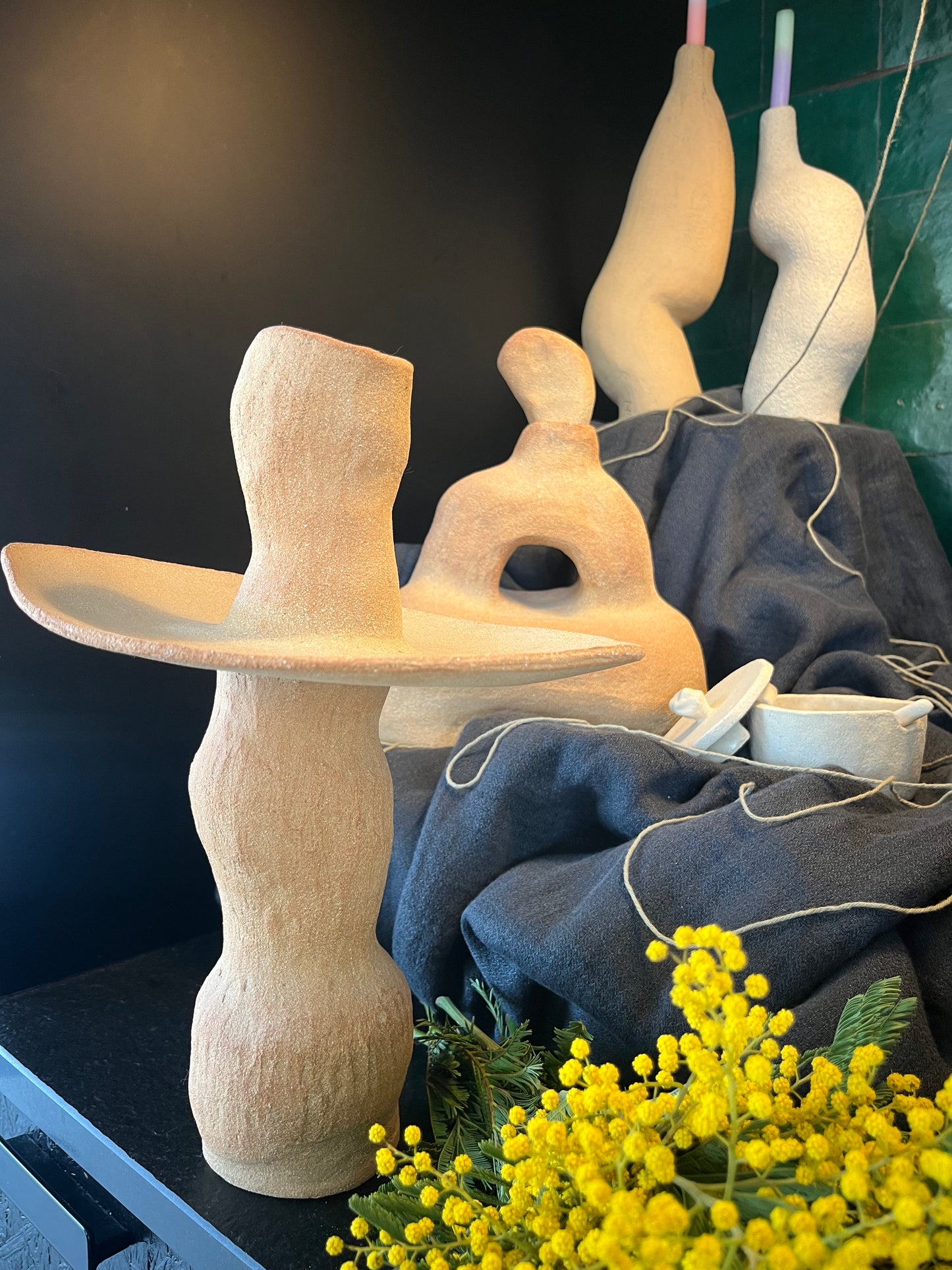 Les formes du vivant n·V, MR Céramique
