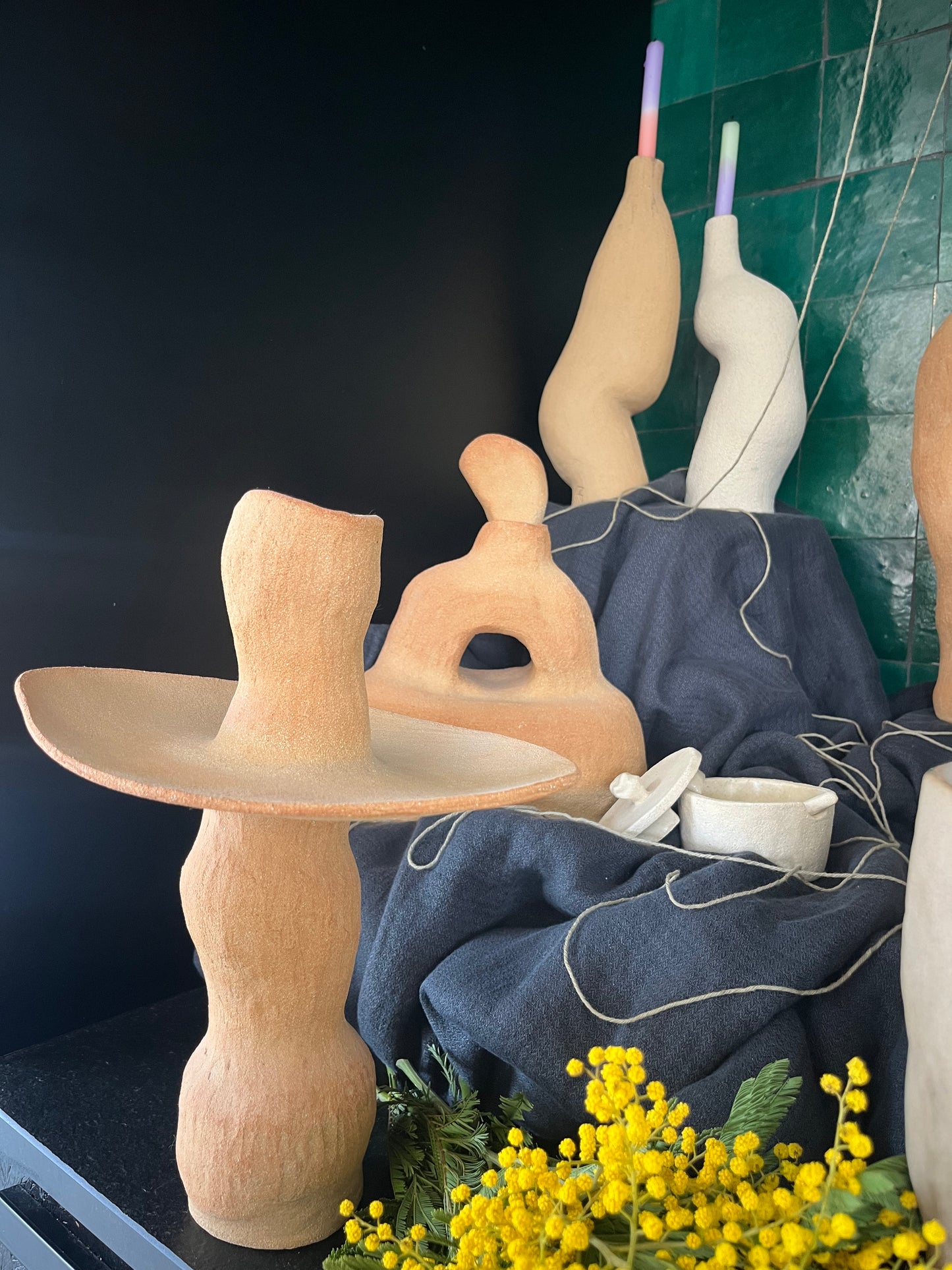 Les formes du vivant n·V, MR Céramique