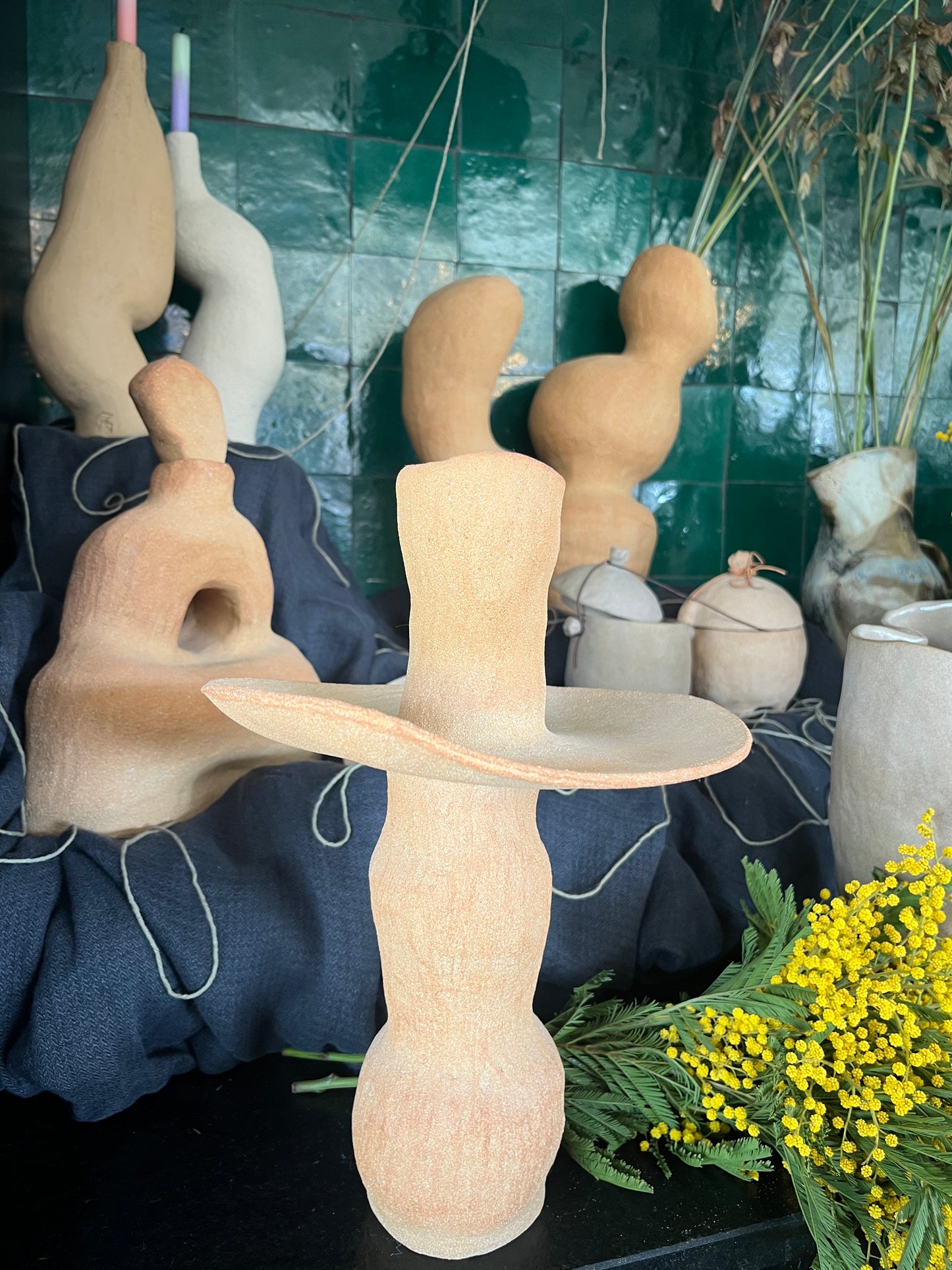 Les formes du vivant n·V, MR Céramique