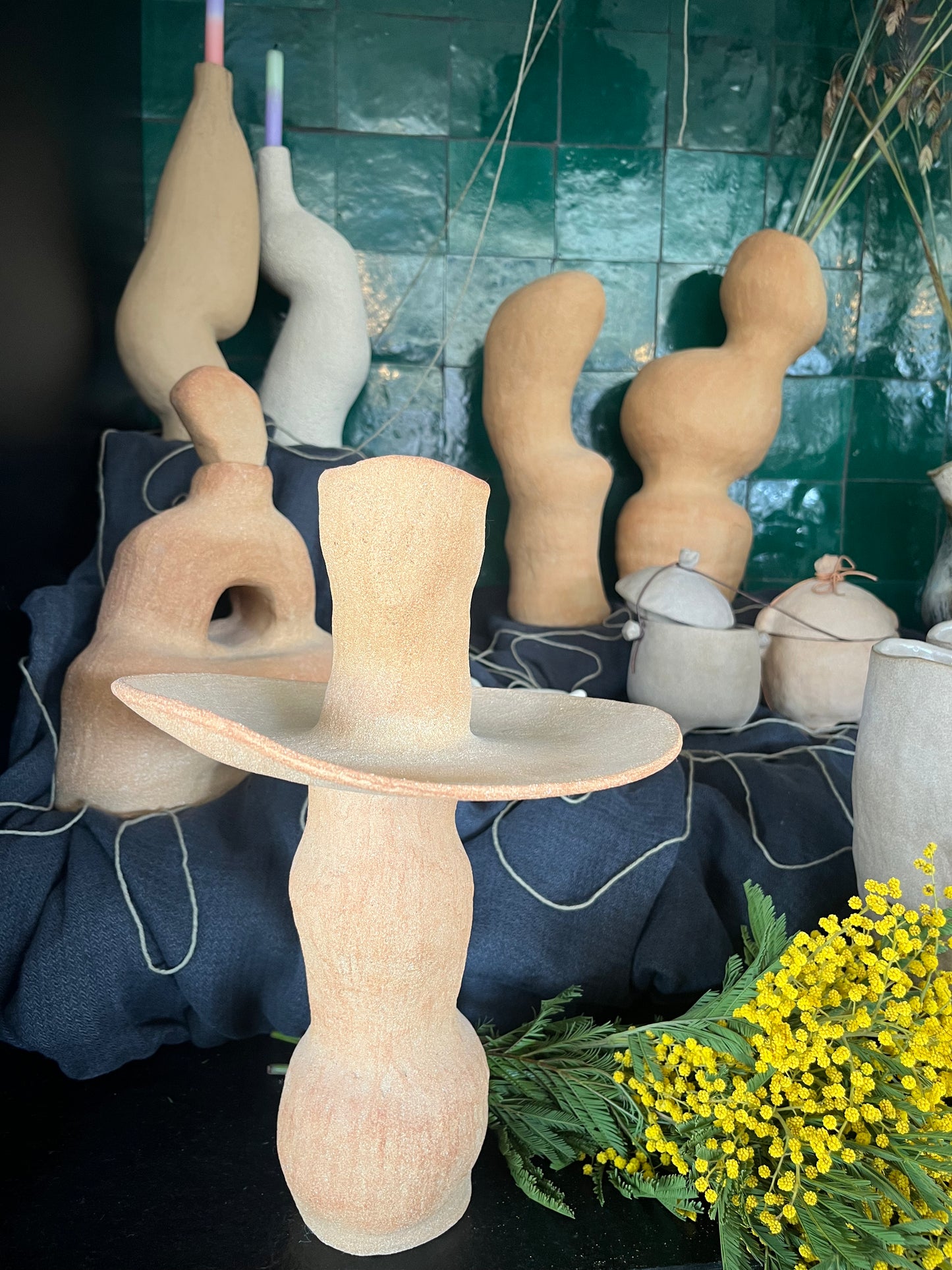 Les formes du vivant n·V, MR Céramique