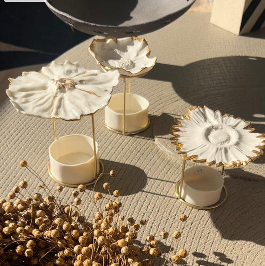 Diffuseur de Parfum JS