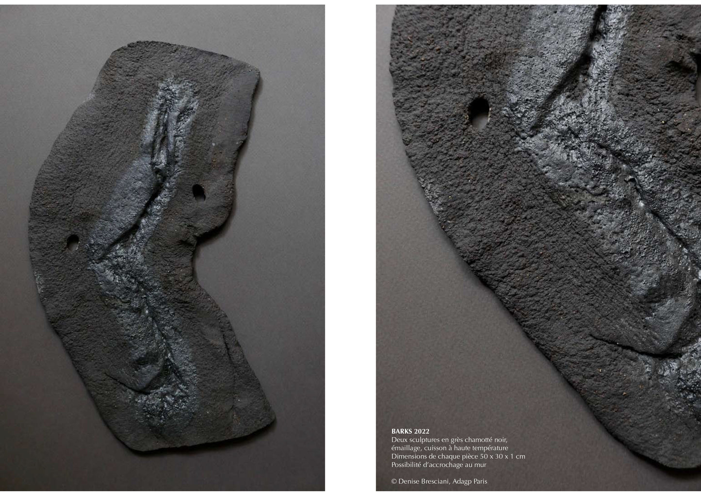Sculpture noire Denise Bresciani