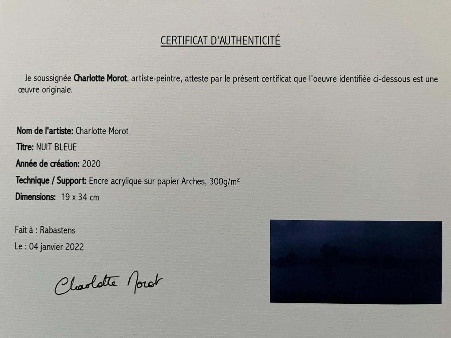 Charlotte Morot - Encre sur Papier - Nuit Bleue