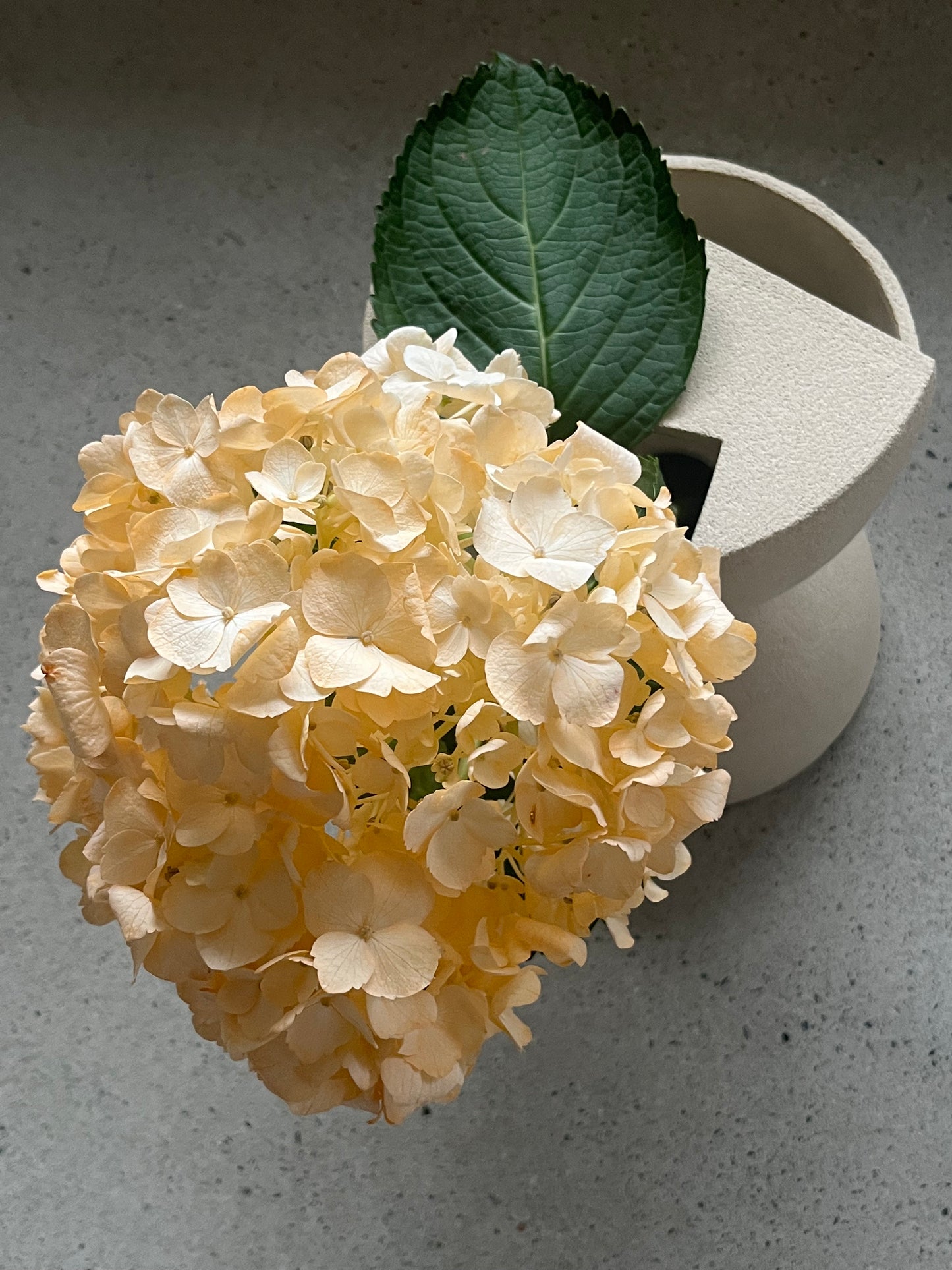 Vase Diabolo Studio La Mano