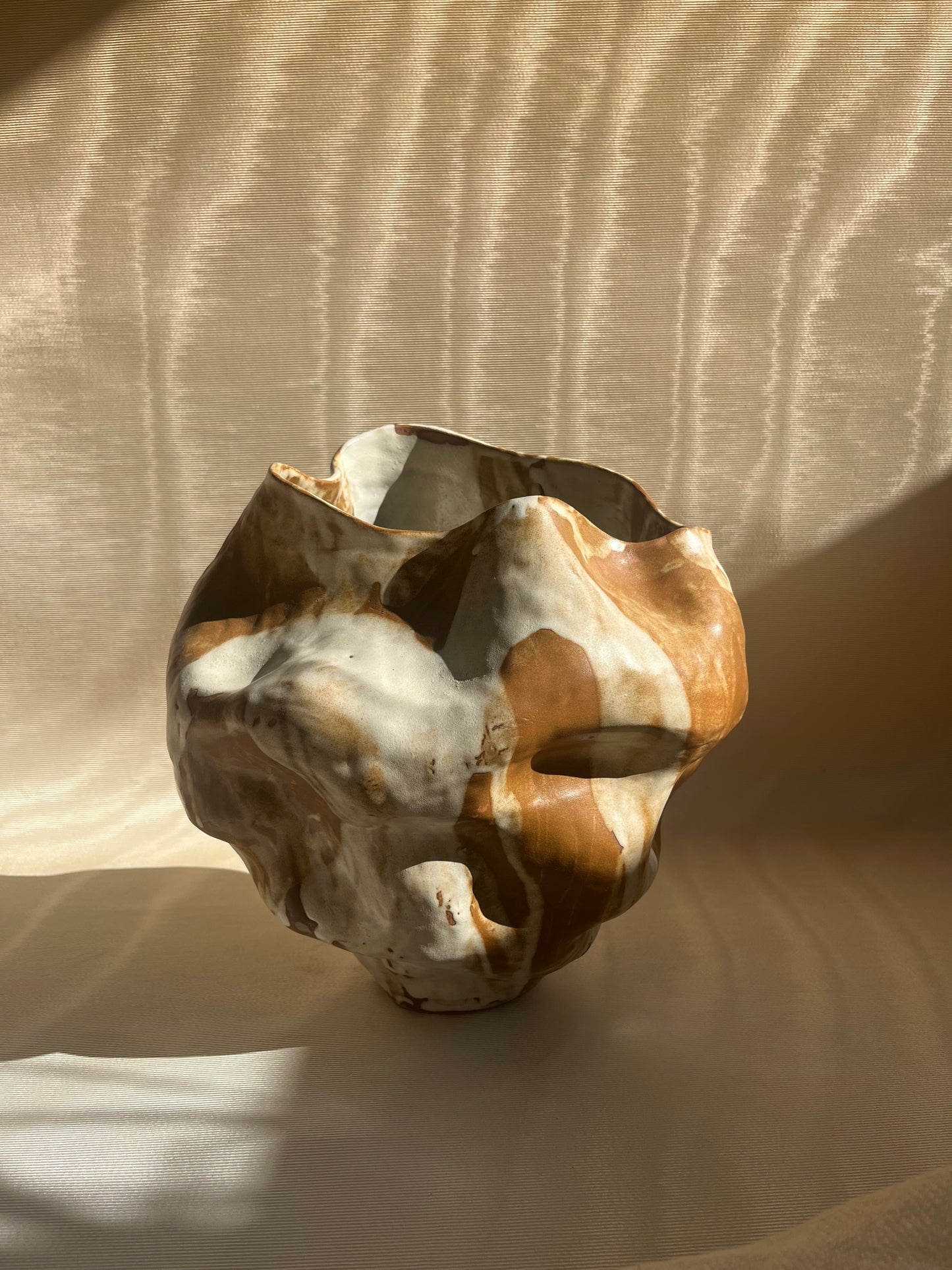 Cora - Vase - Agaricia