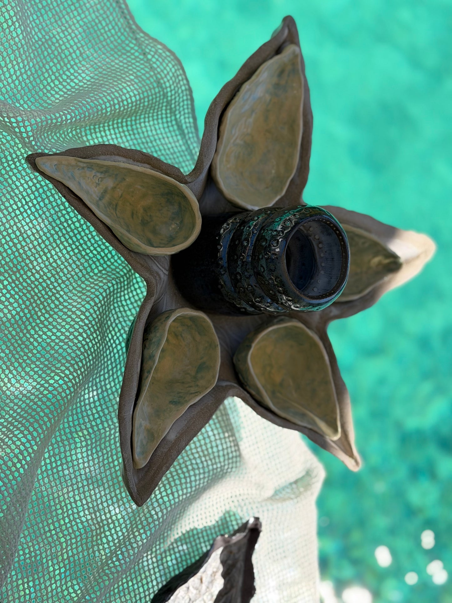 L’ÉTOILE DE MER POUR VOUS SERVIR !