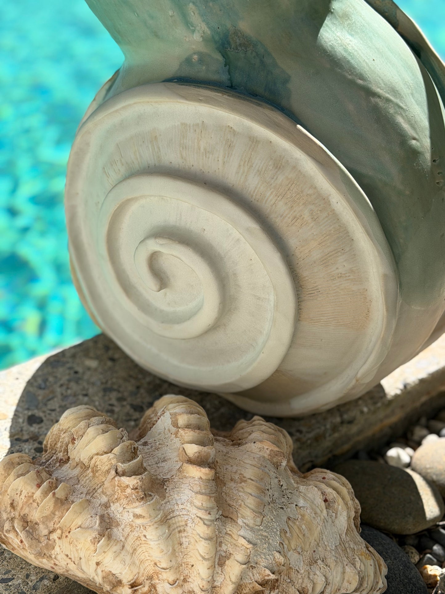 NAUTILUS 🐌🐚
