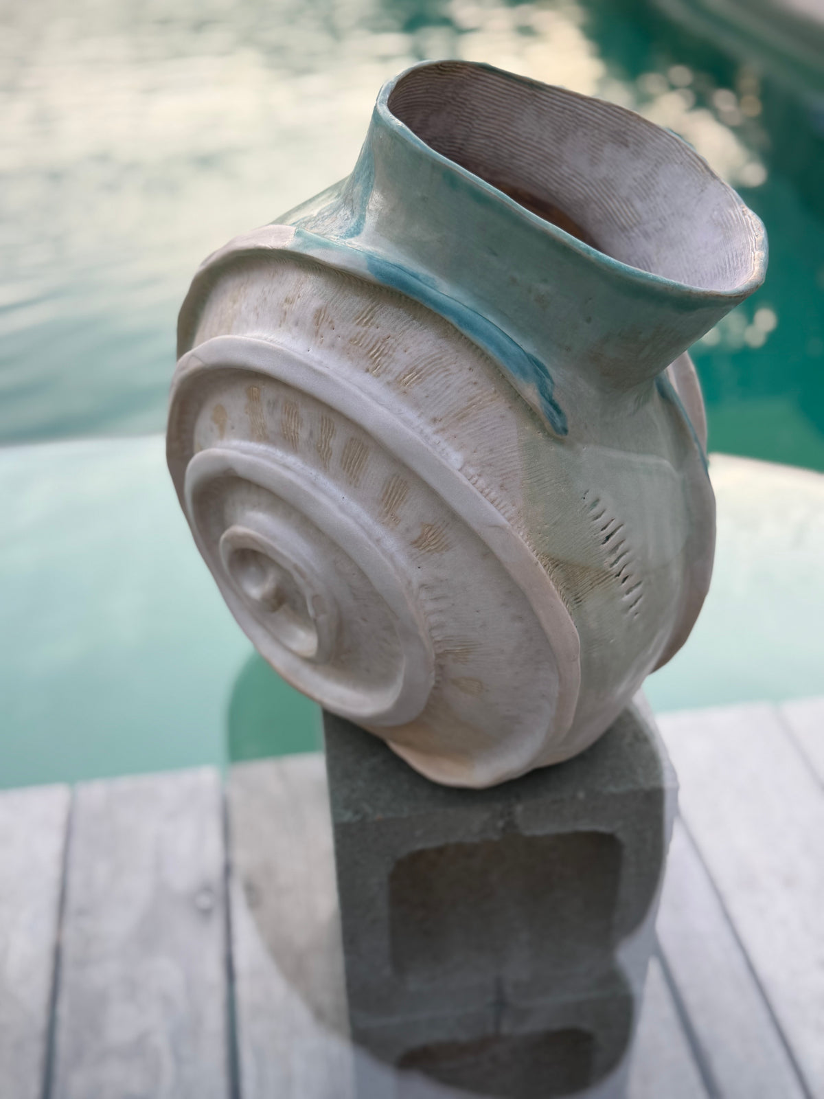 NAUTILUS 🐌🐚