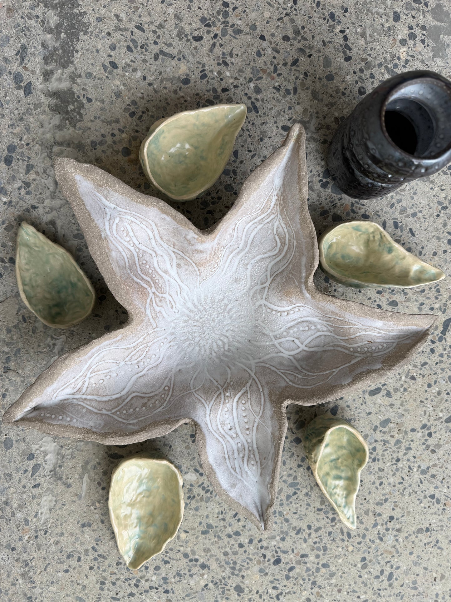 L’ÉTOILE DE MER POUR VOUS SERVIR !