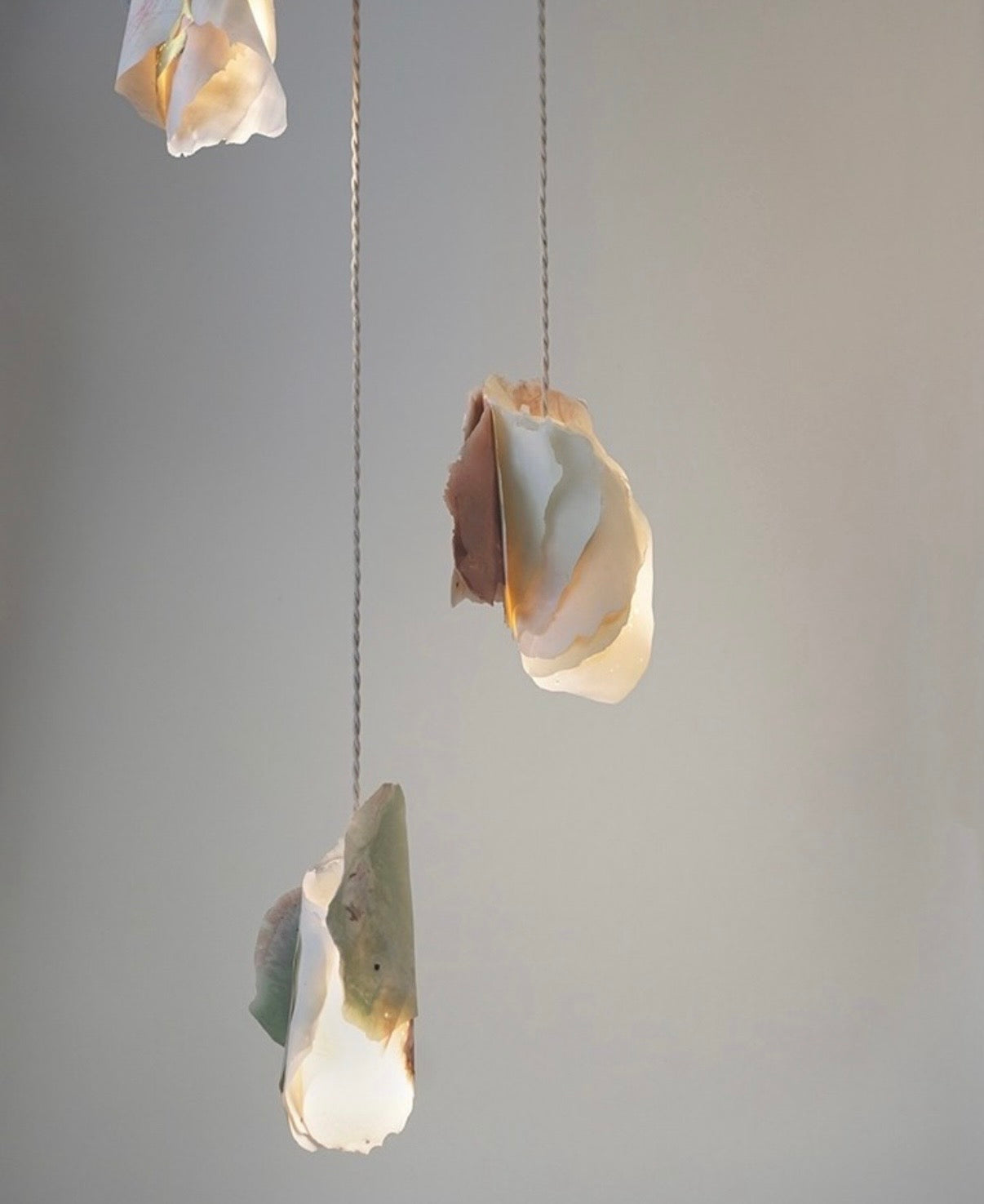 Studio MU - Suspension - Fungia