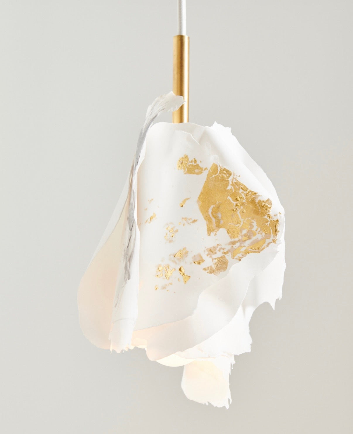 Studio MU - Suspension - Fungia