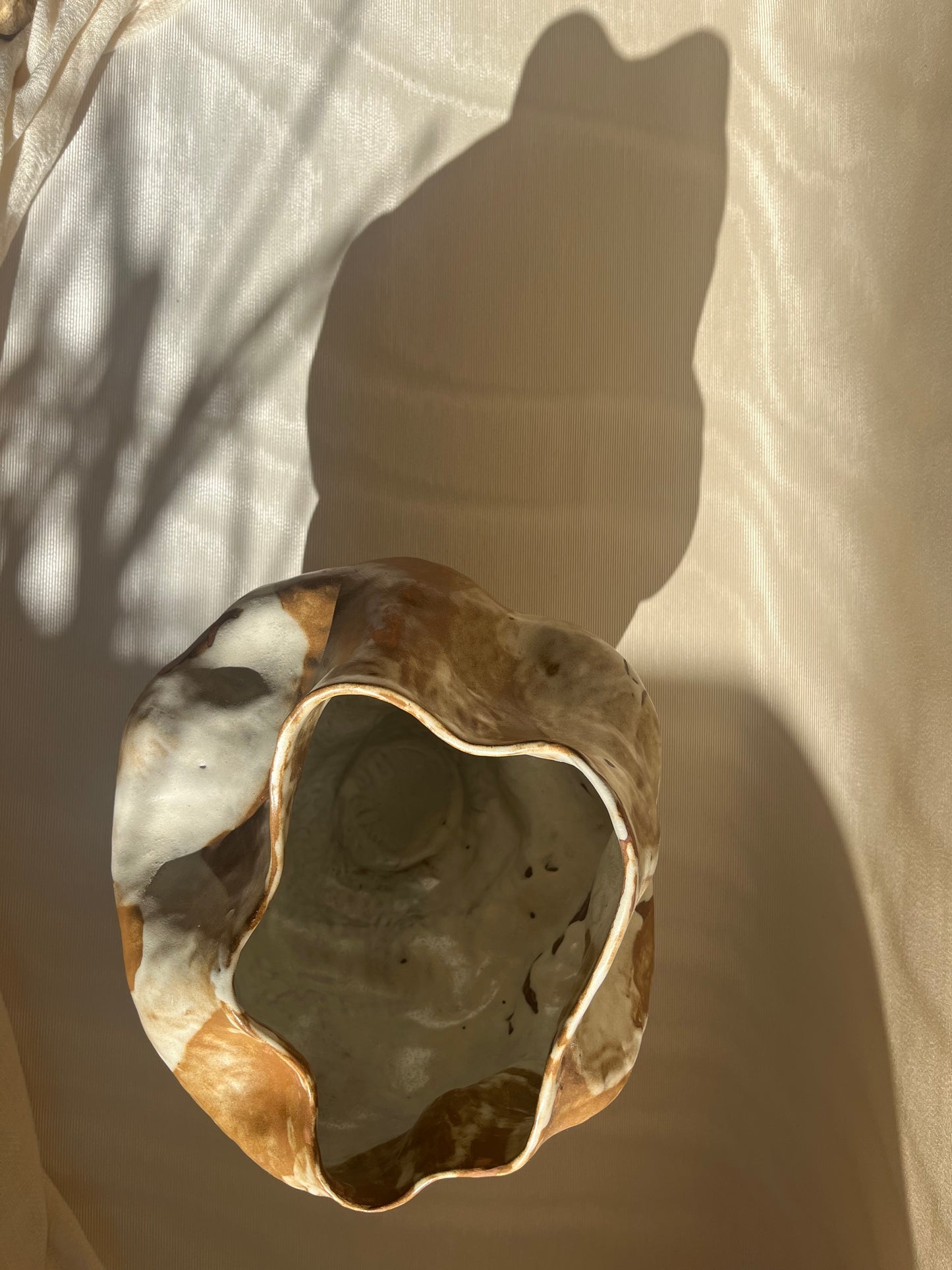 Cora - Vase - Agaricia