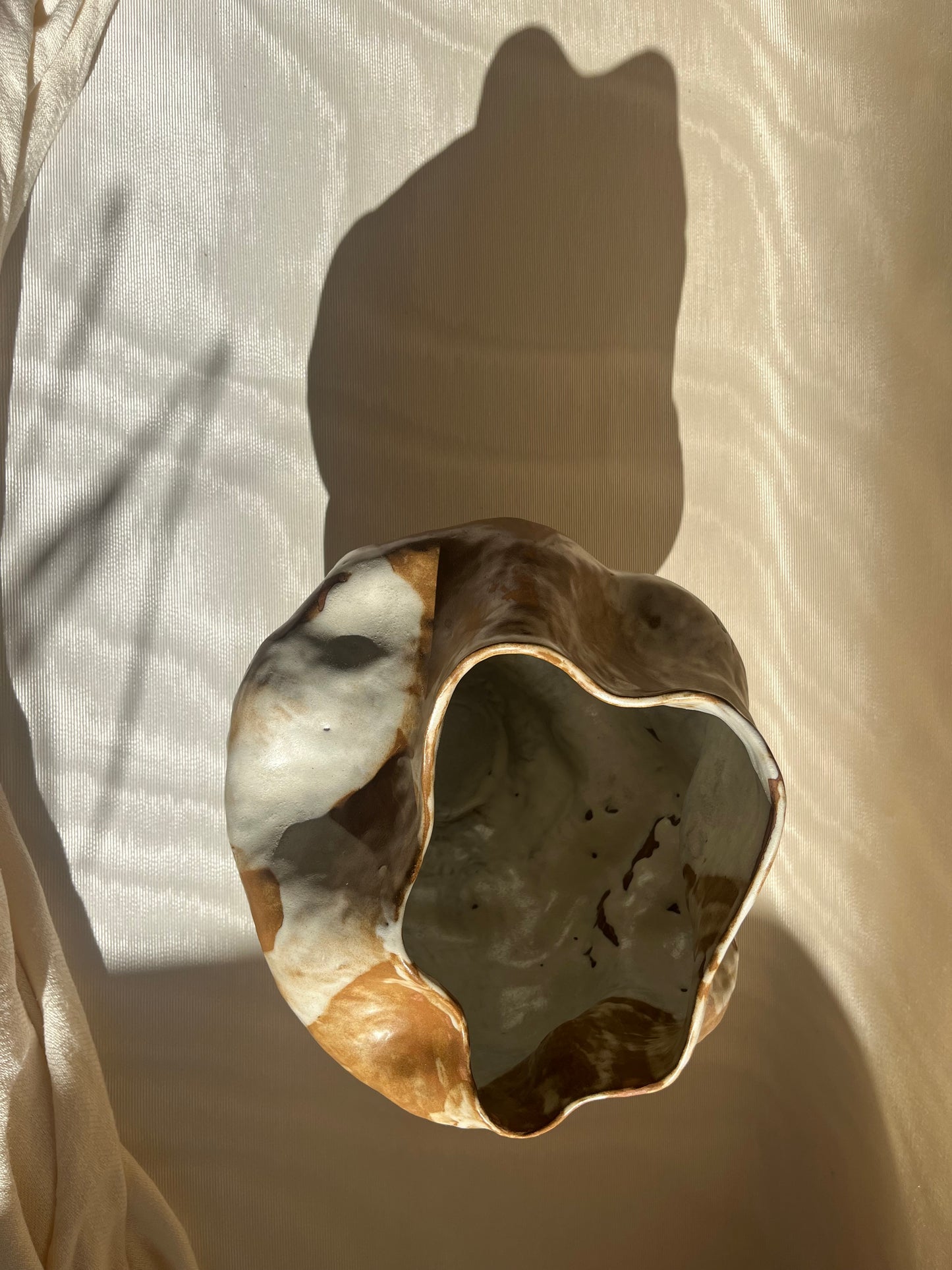Cora - Vase - Agaricia