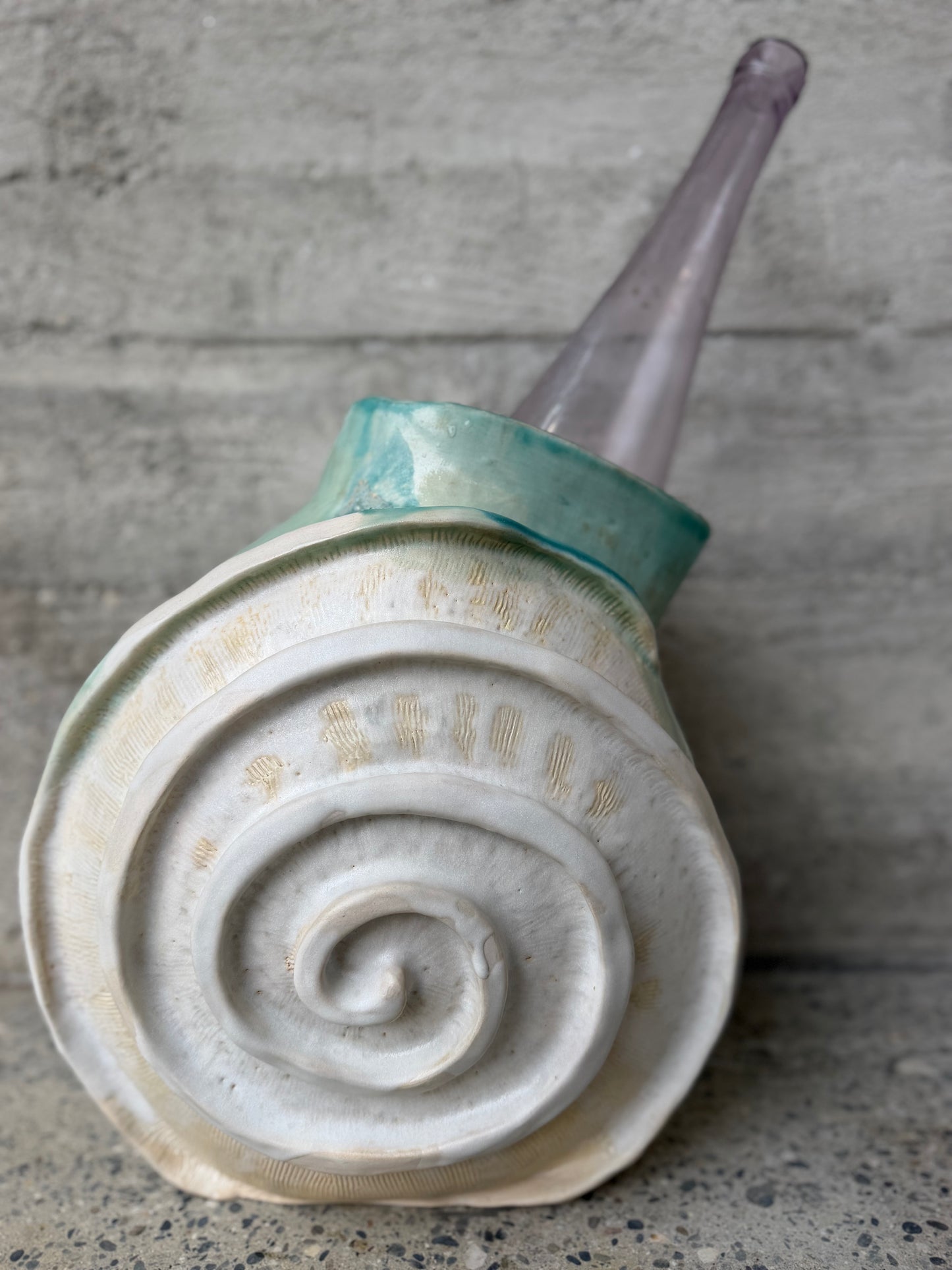 NAUTILUS 🐌🐚