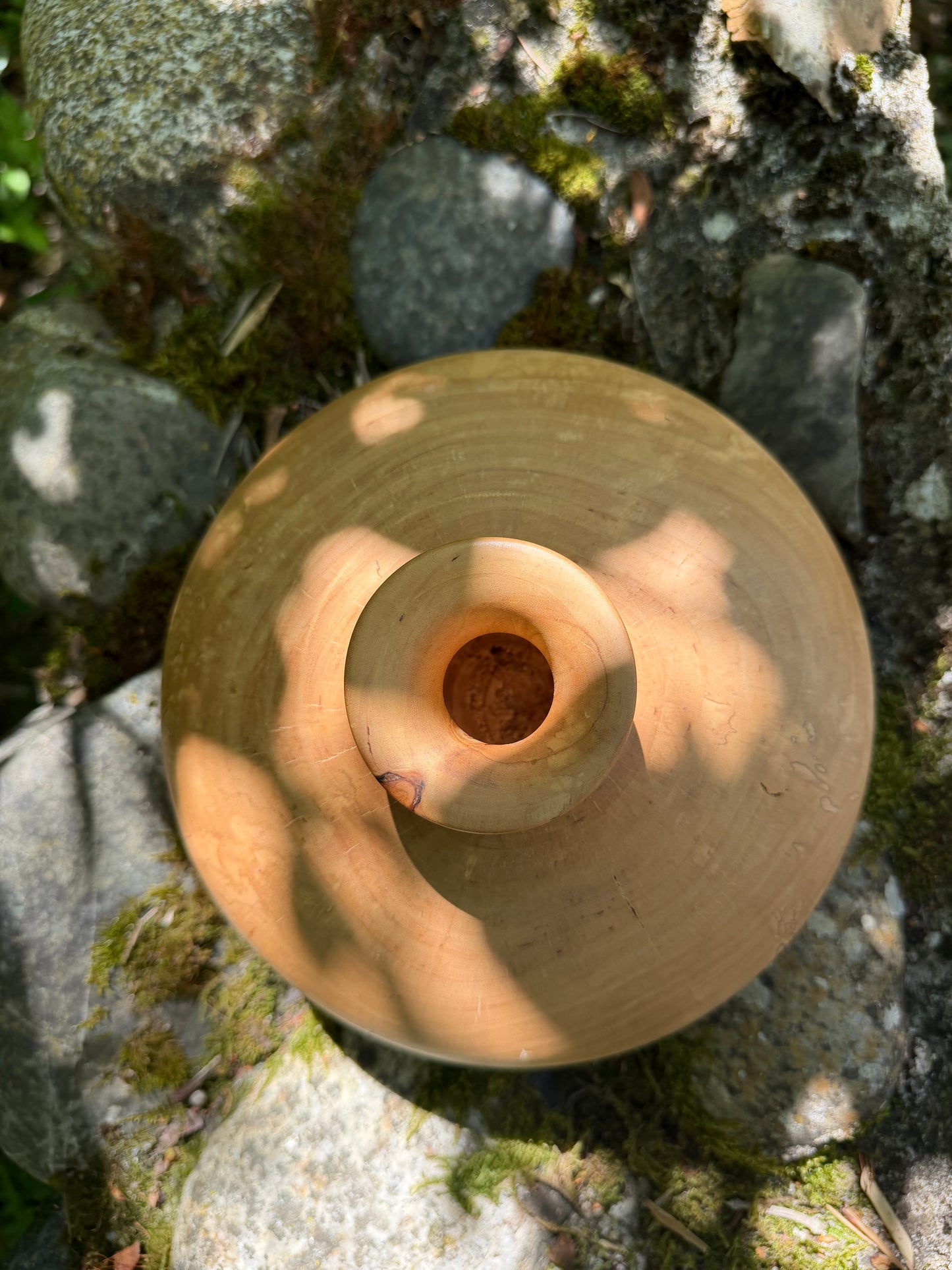 Lorien Cau - Vase - Bois de Bouleau Échauffé