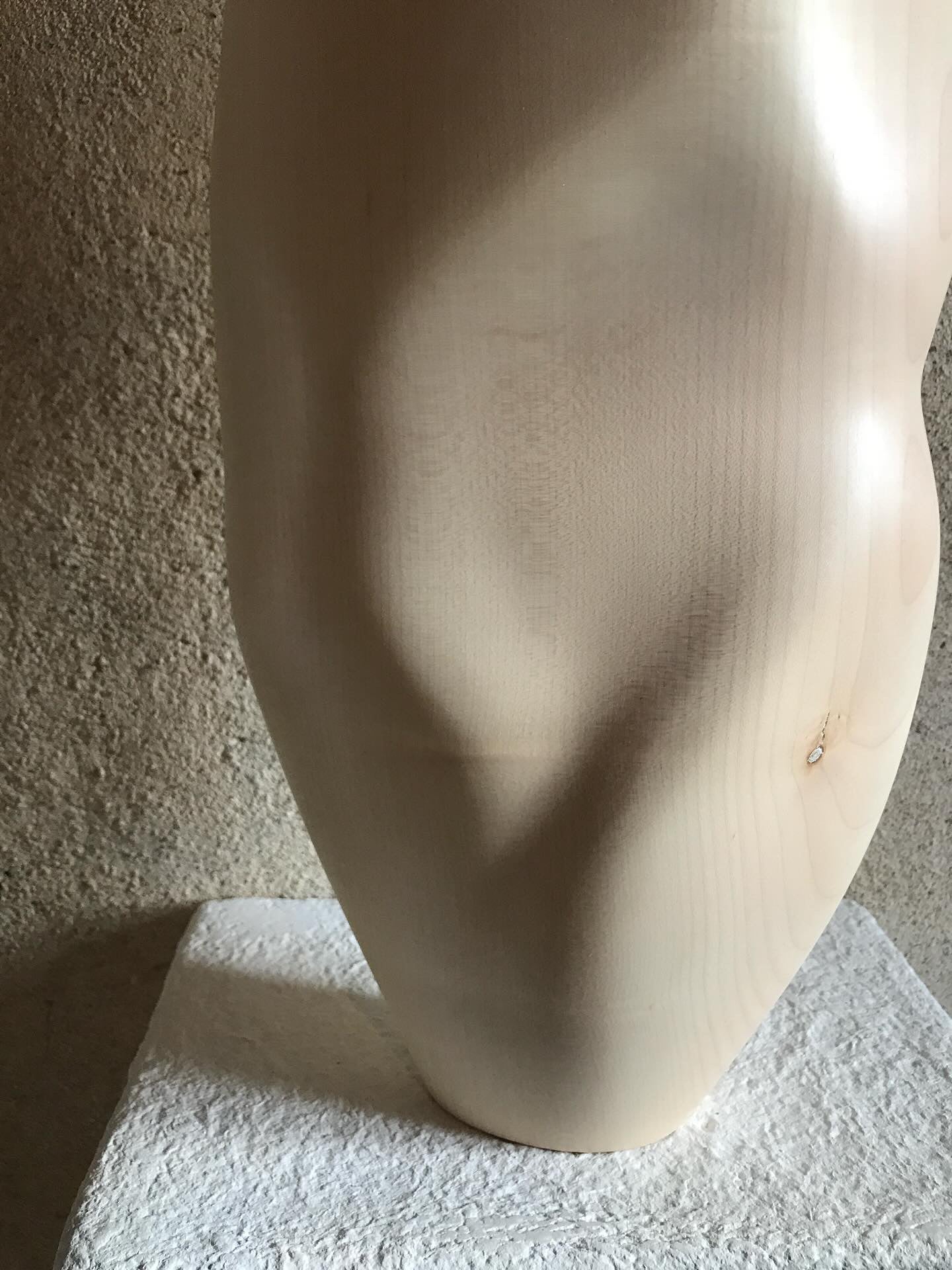 Lorien Cau - Grand Vase - Peau