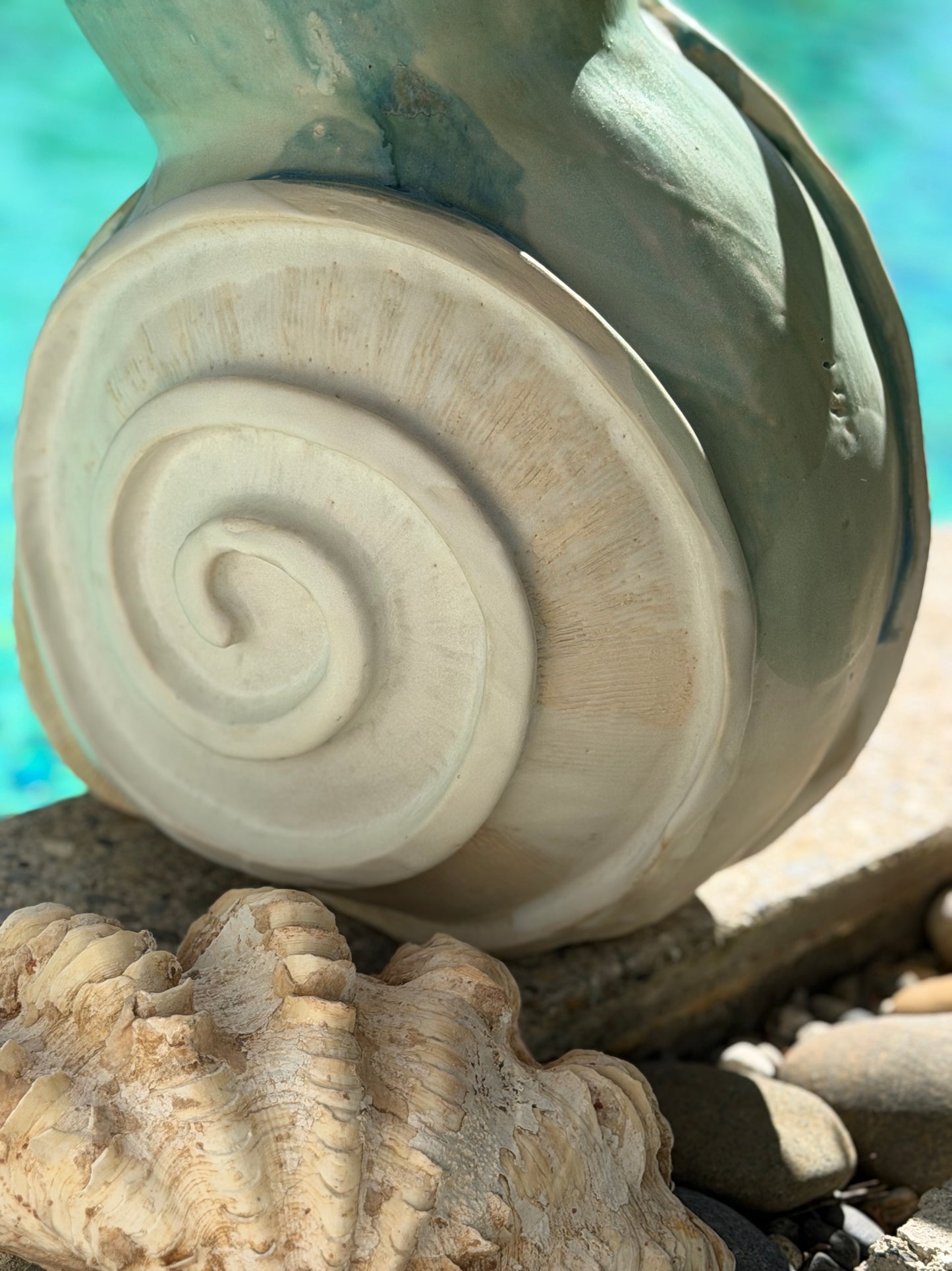 NAUTILUS 🐌🐚