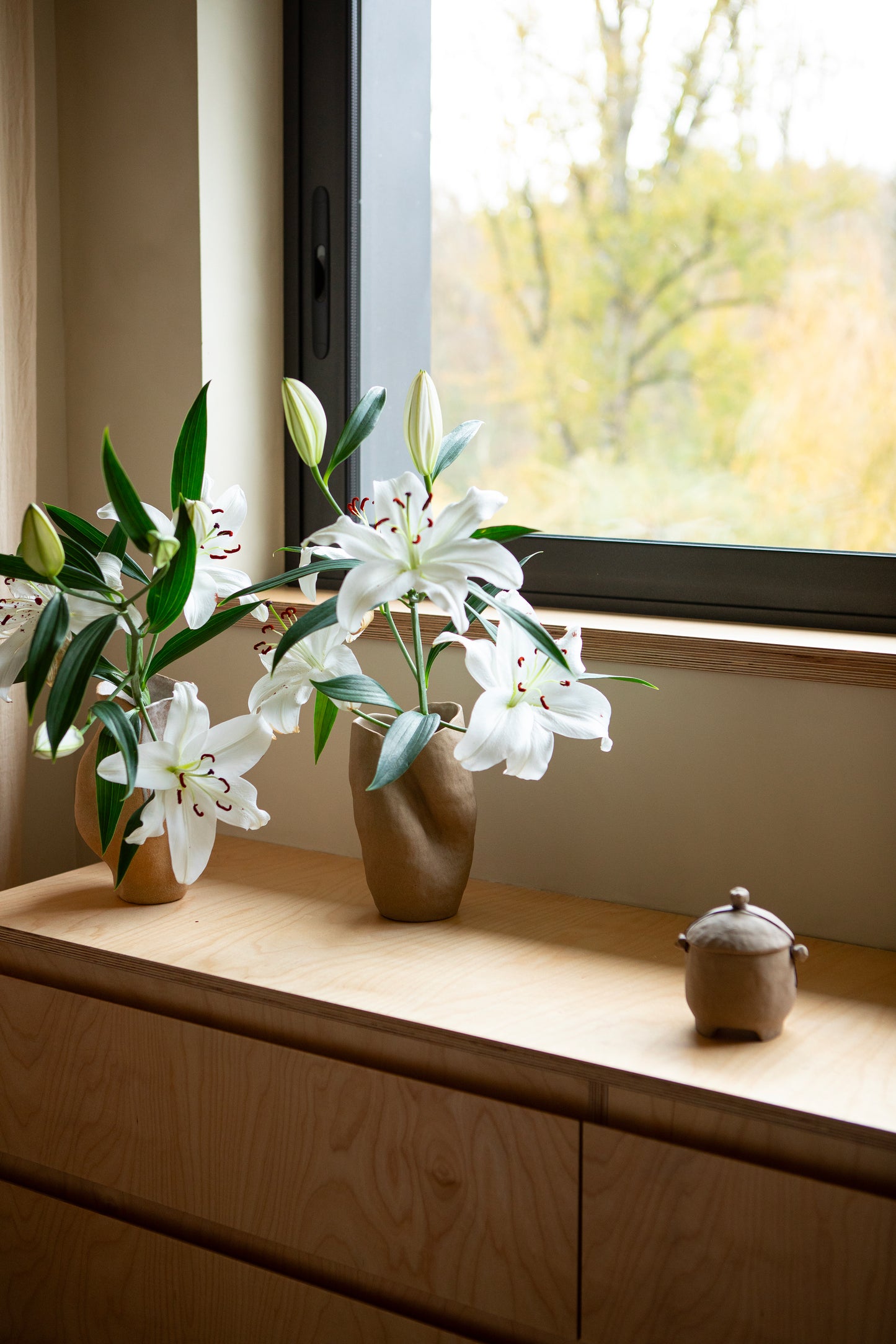 Vase sable, Cora