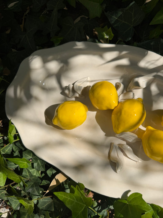 Maison Bonjour - Plat - Barbotine Citron Émaillé 🍋