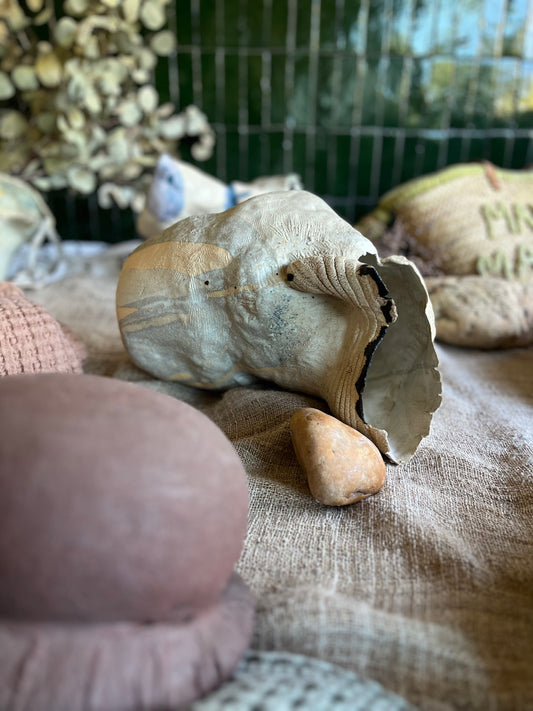 Drapé - Muriel Senaux