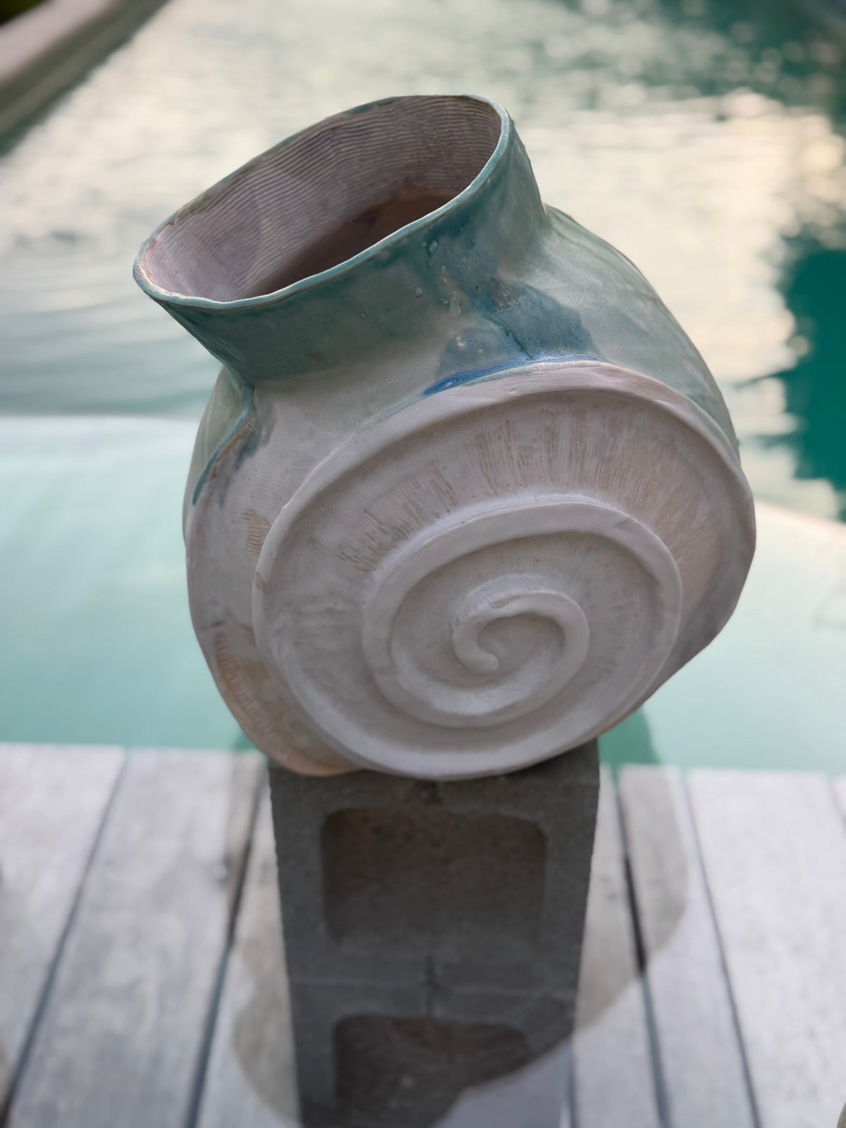 NAUTILUS 🐌🐚
