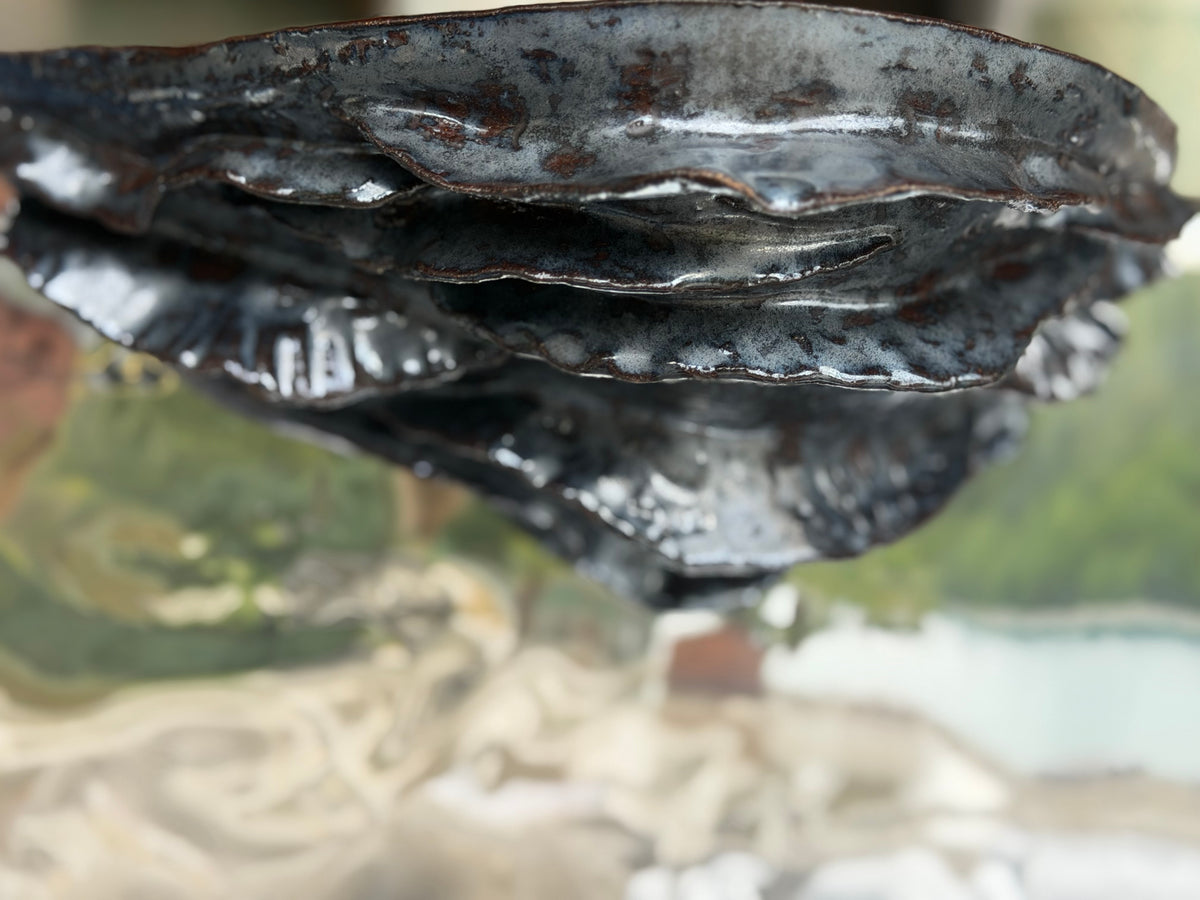 La Sellette Mer D’Algues