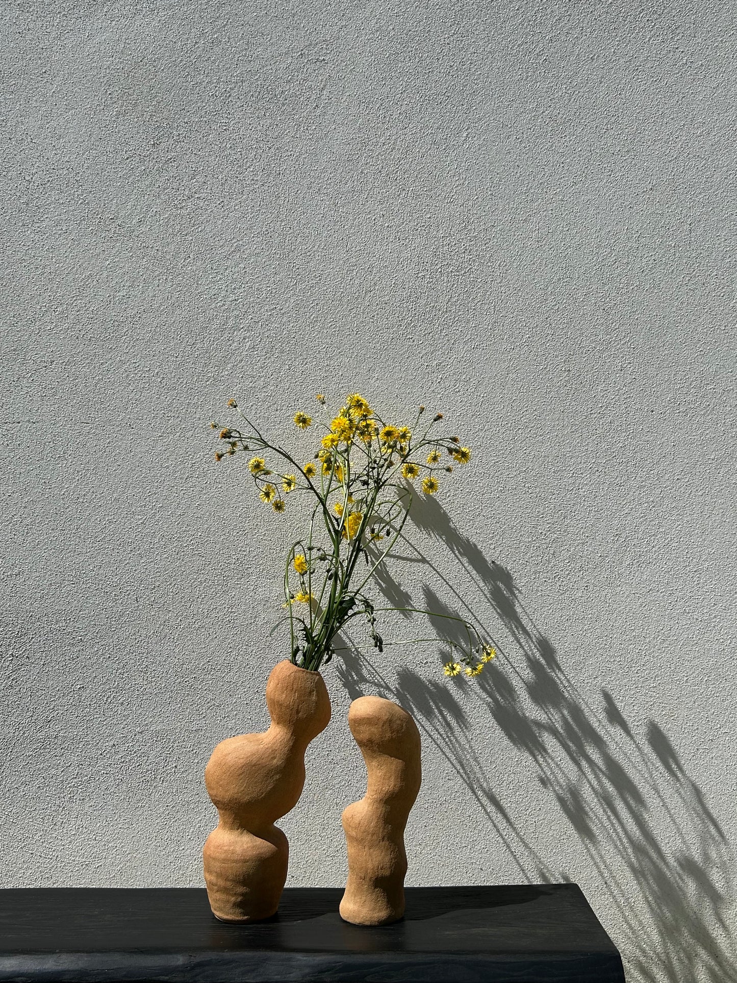MR Céramique - Sculpture/Vase - Les Formes du Vivant II. Le Duo