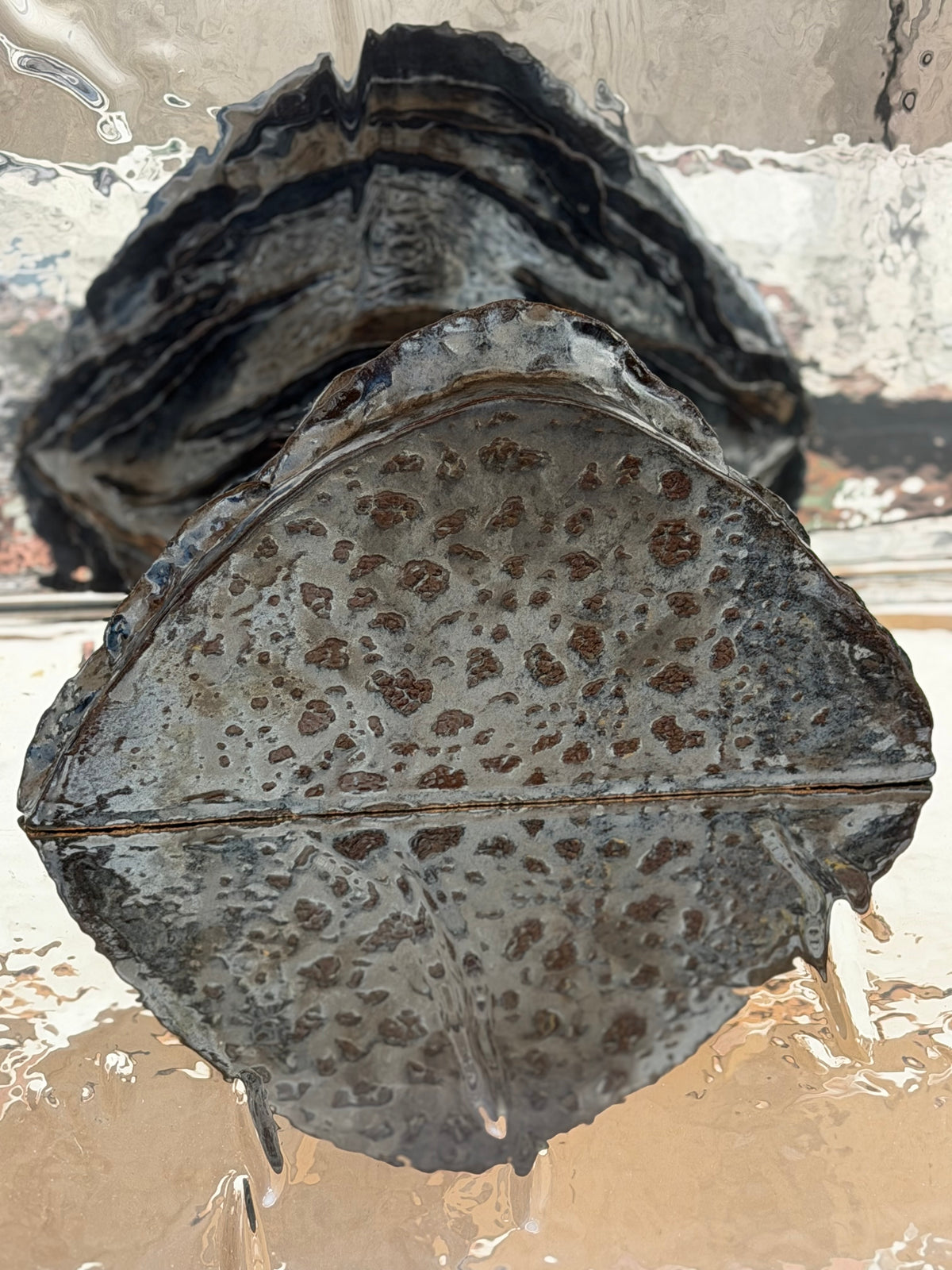La Sellette Mer D’Algues