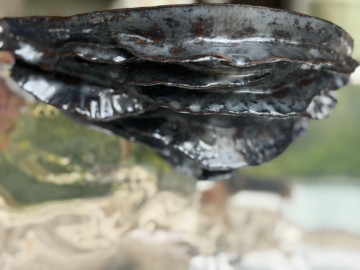 La Sellette Mer D’Algues