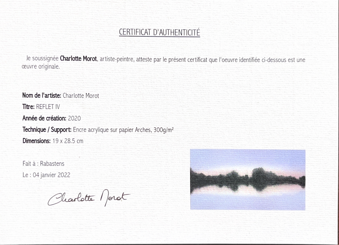 Charlotte Morot - Encre sur Papier - Reflet IV