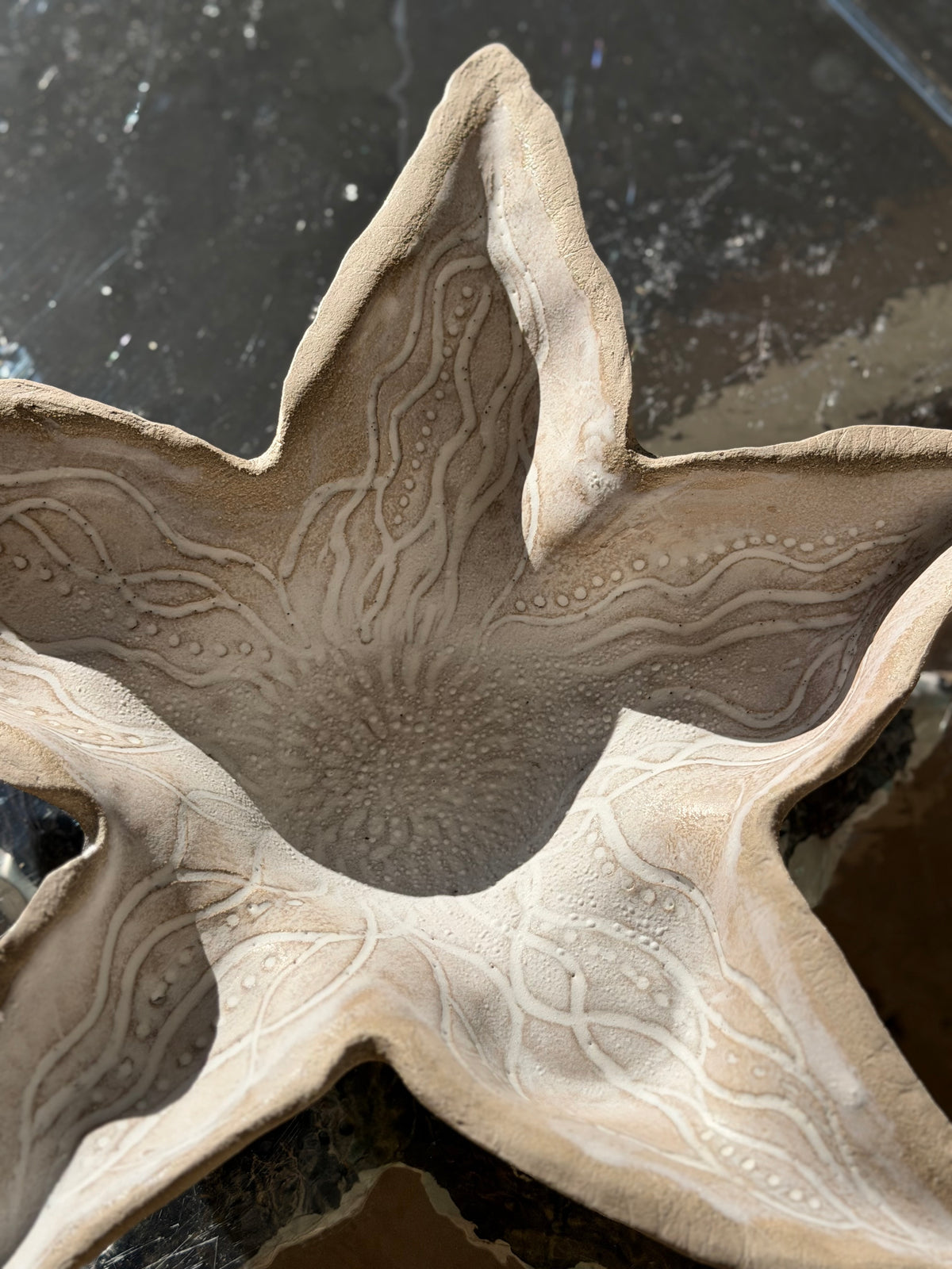 L’ÉTOILE DE MER POUR VOUS SERVIR !